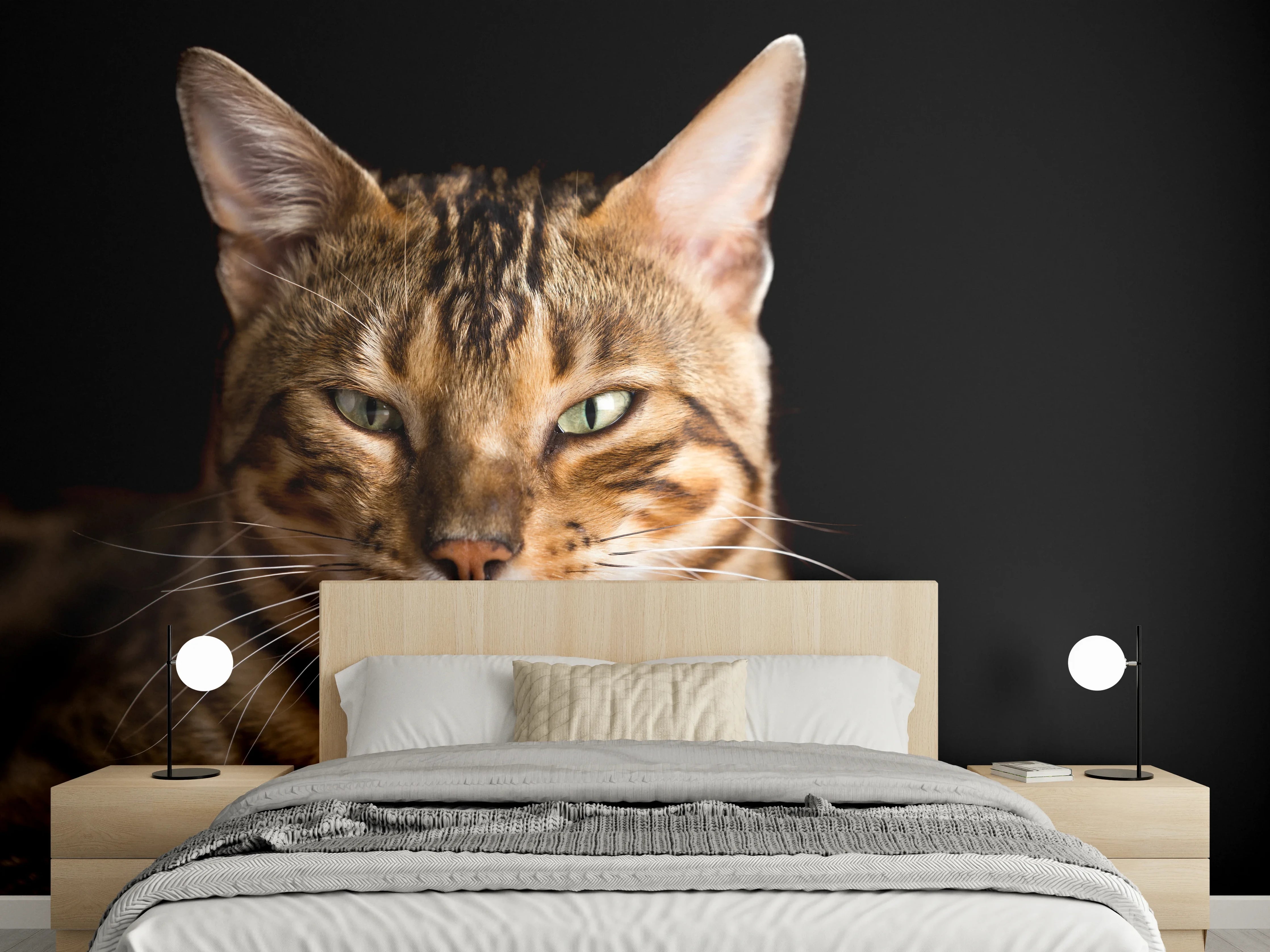 Wandverkleidung Schlafzimmer - Bengalkatze Portrait