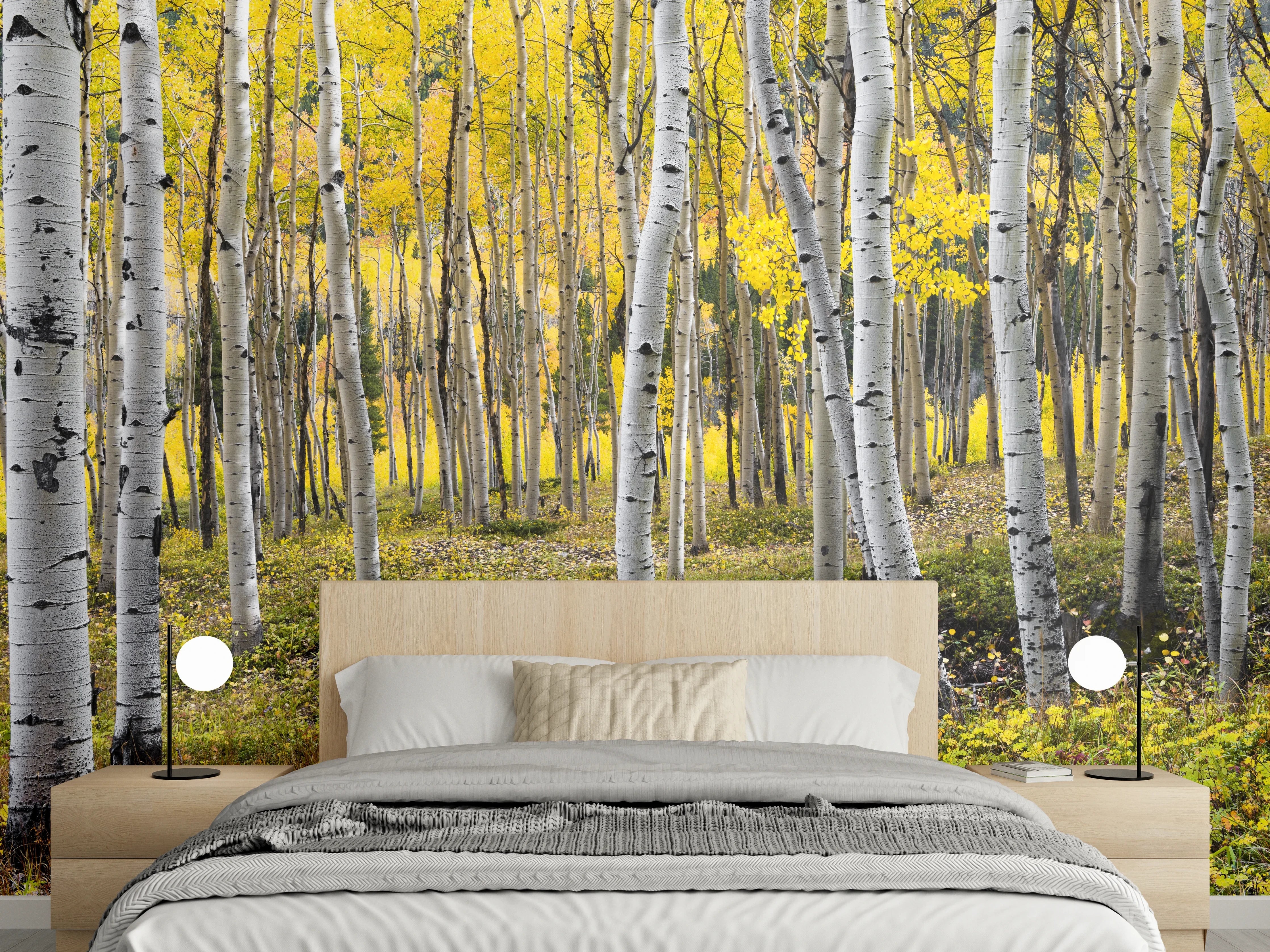 Wandverkleidung Schlafzimmer - Birkenwald Natur Fotomotiv