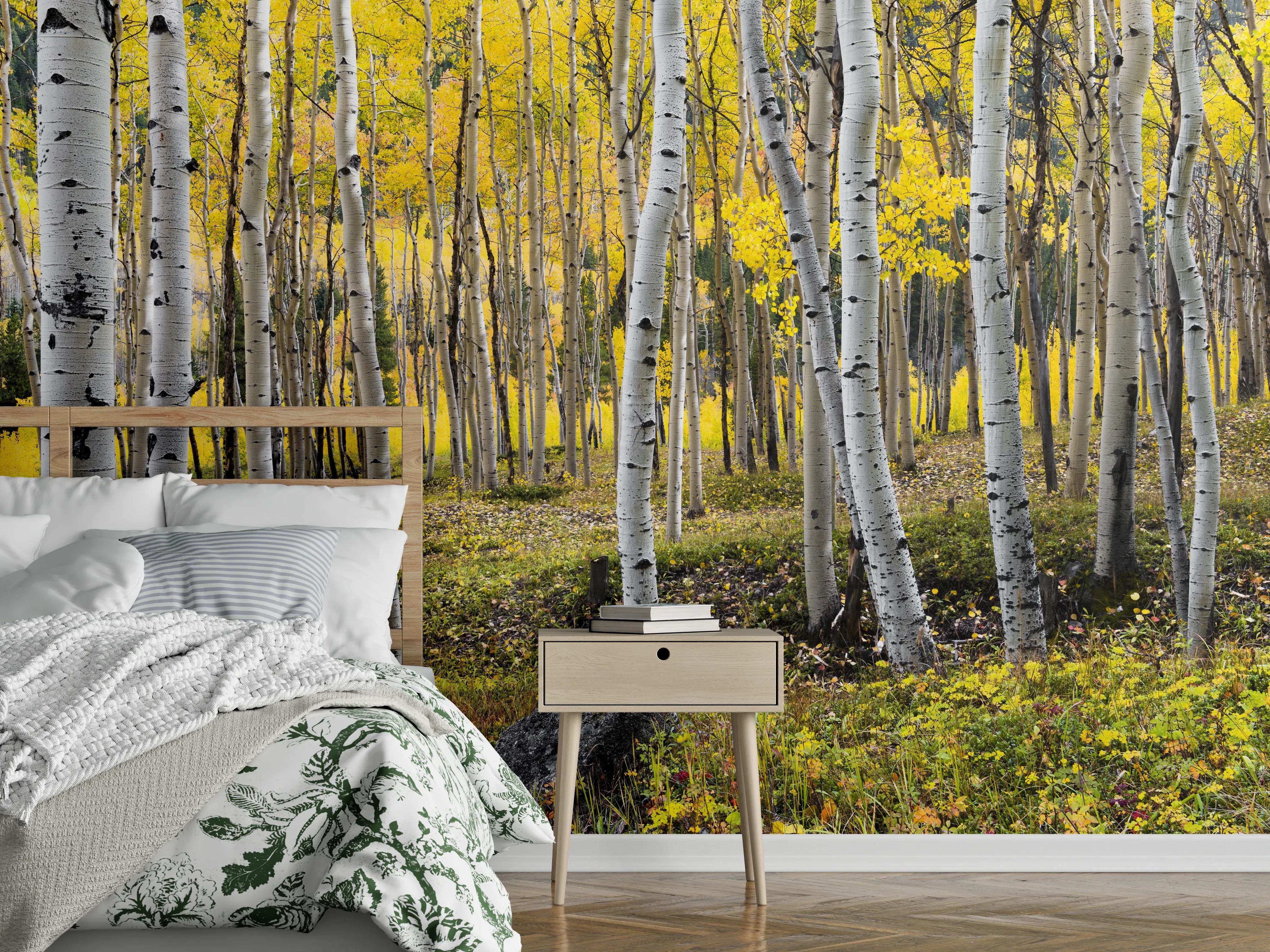 Wandverkleidung Schlafzimmer - Birkenwald Natur Fotomotiv