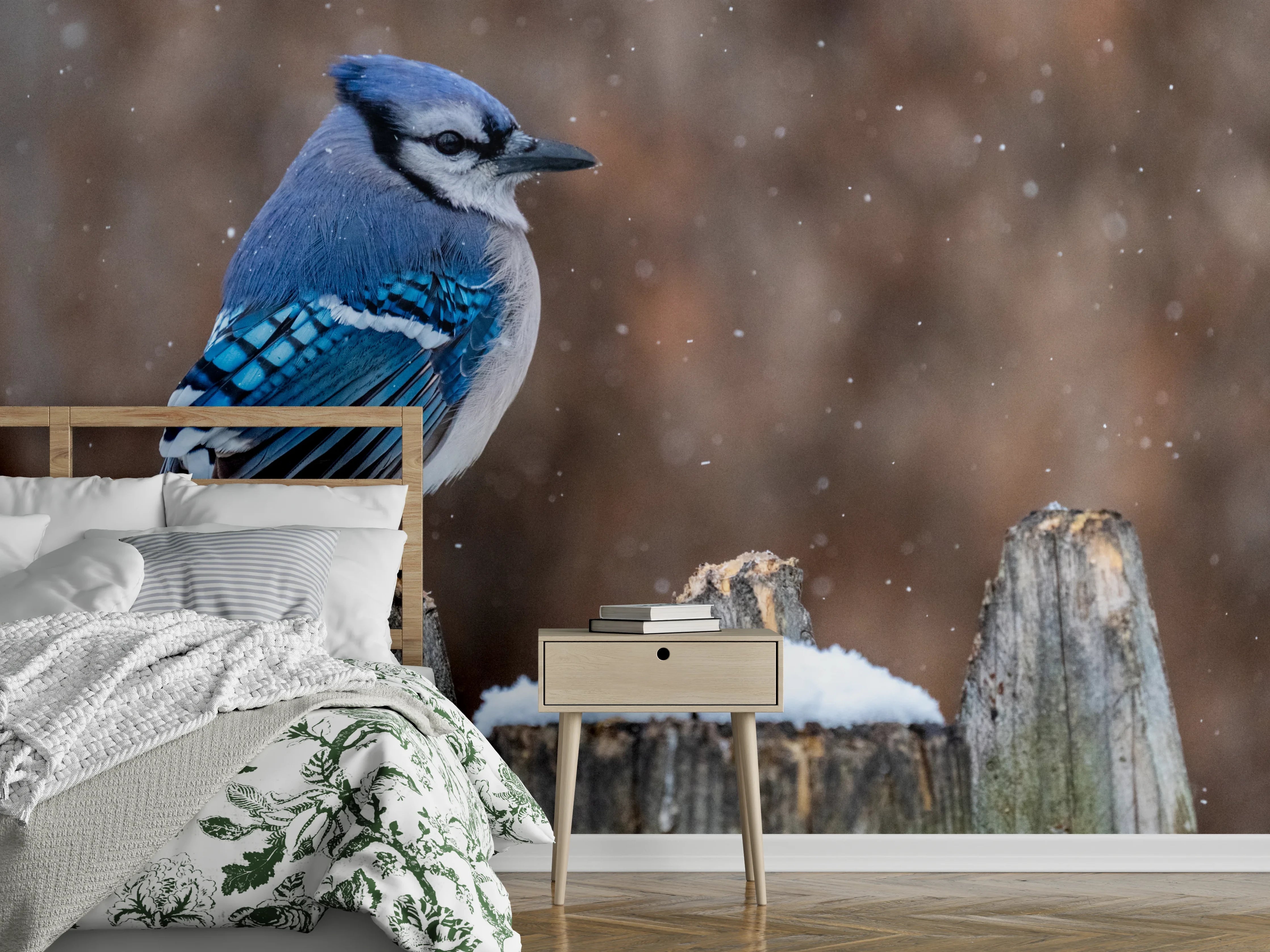 Wandverkleidung Schlafzimmer - Blauhäher im Schnee