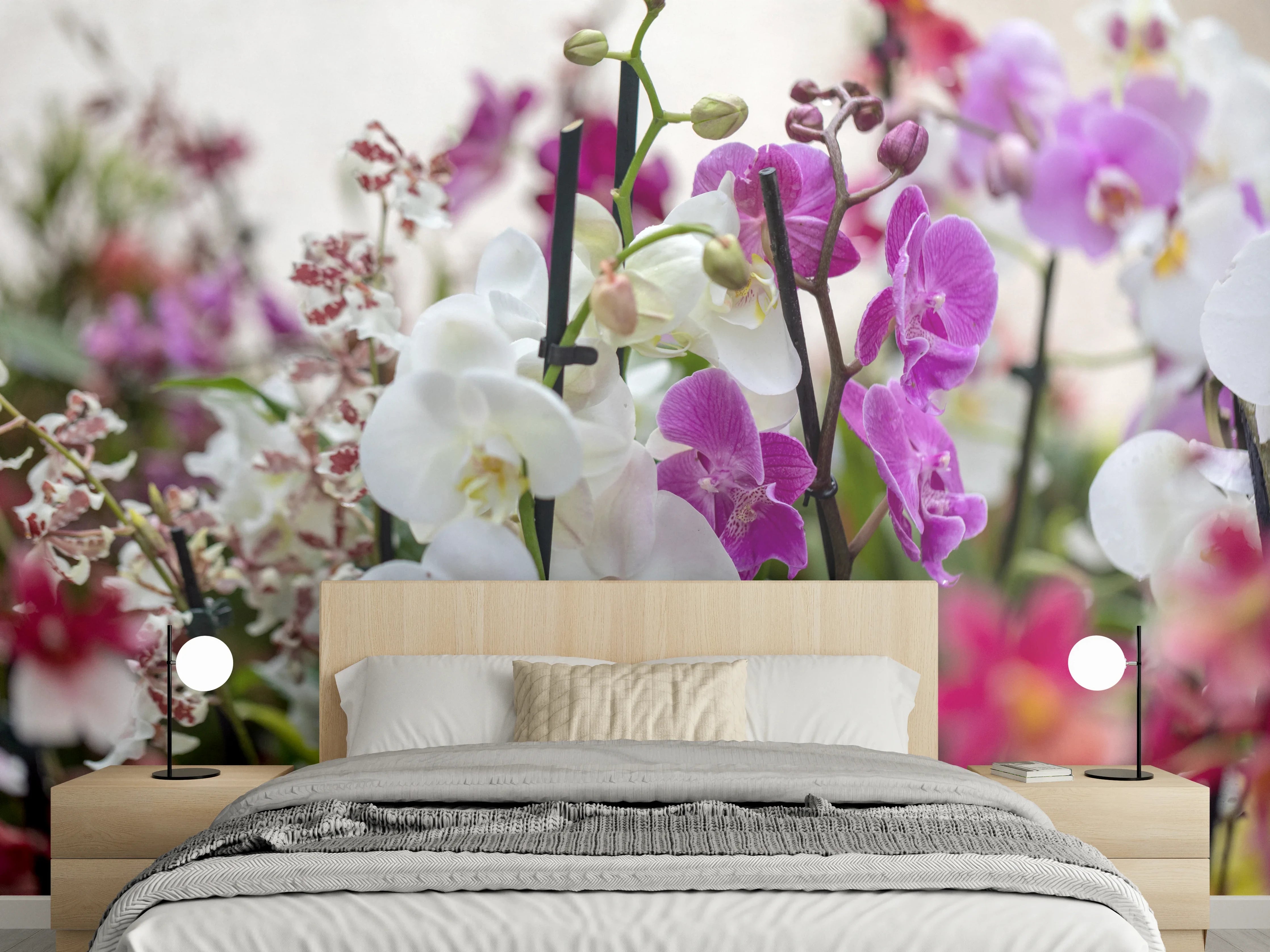 Wandverkleidung Schlafzimmer - Blühende Orchideen – Farbenpracht für Dein Zuhause