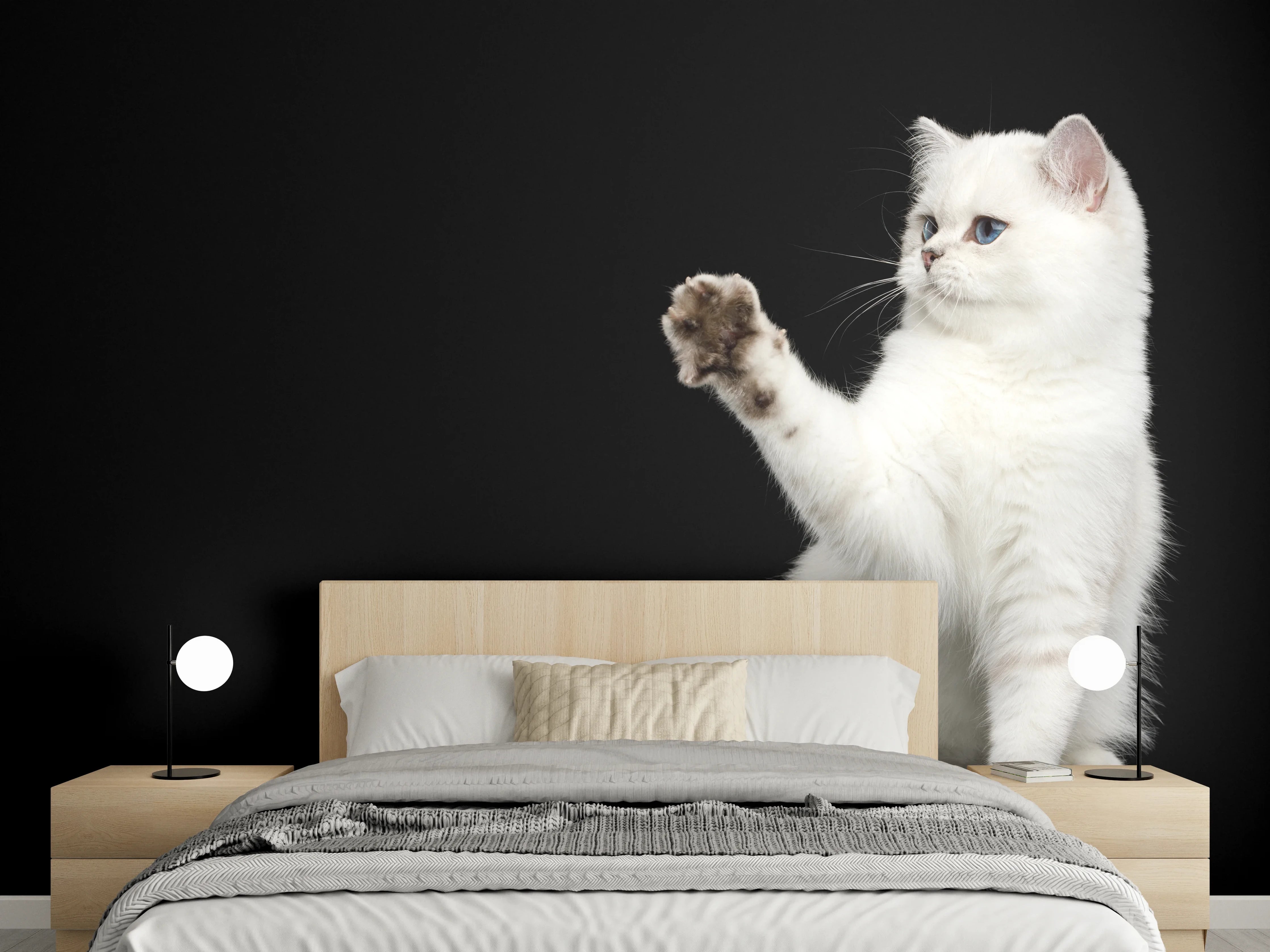 Wandverkleidung Schlafzimmer - British weiße Katze