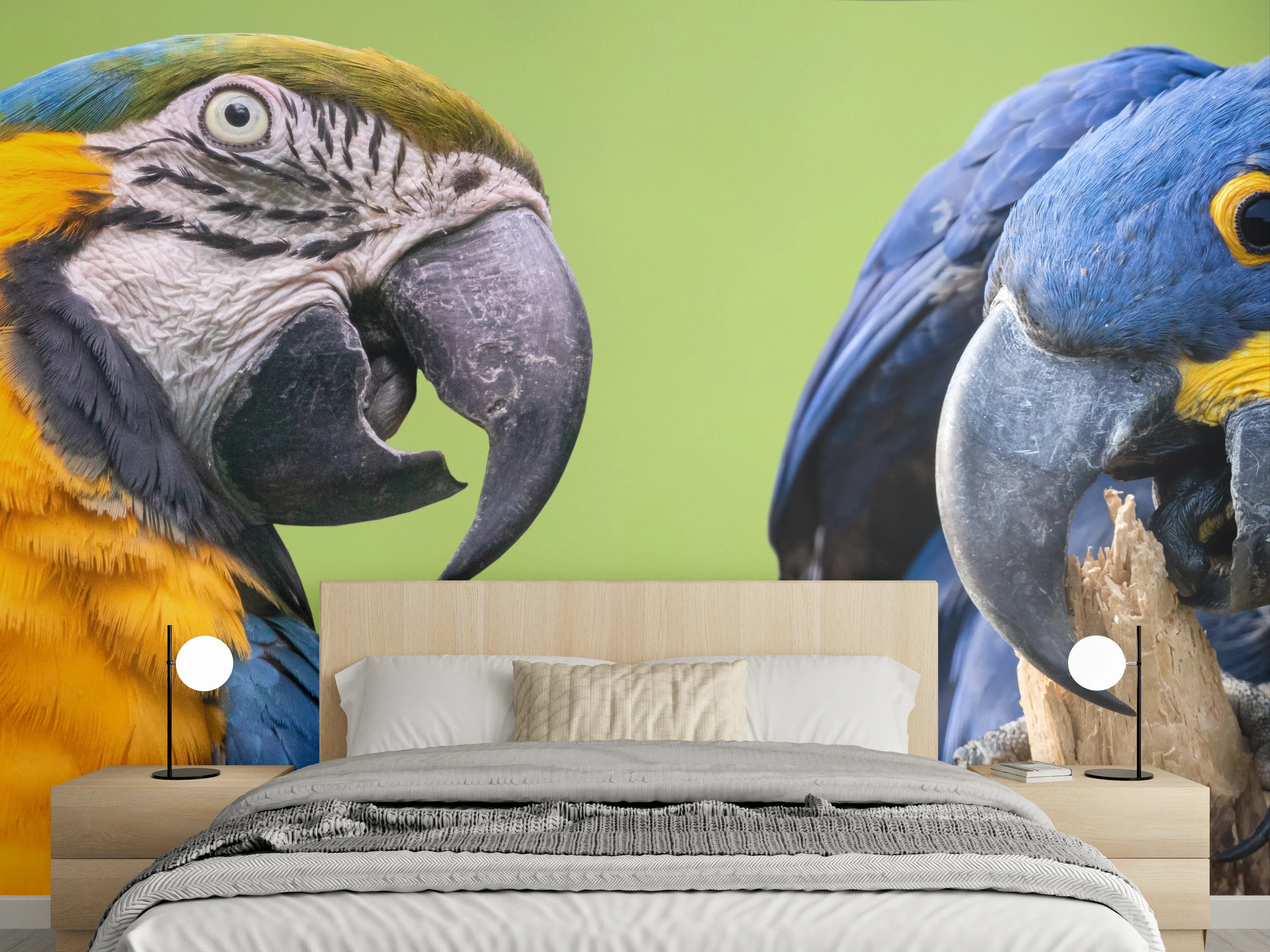 Wandverkleidung Schlafzimmer - Bunte Gruppe von Aras