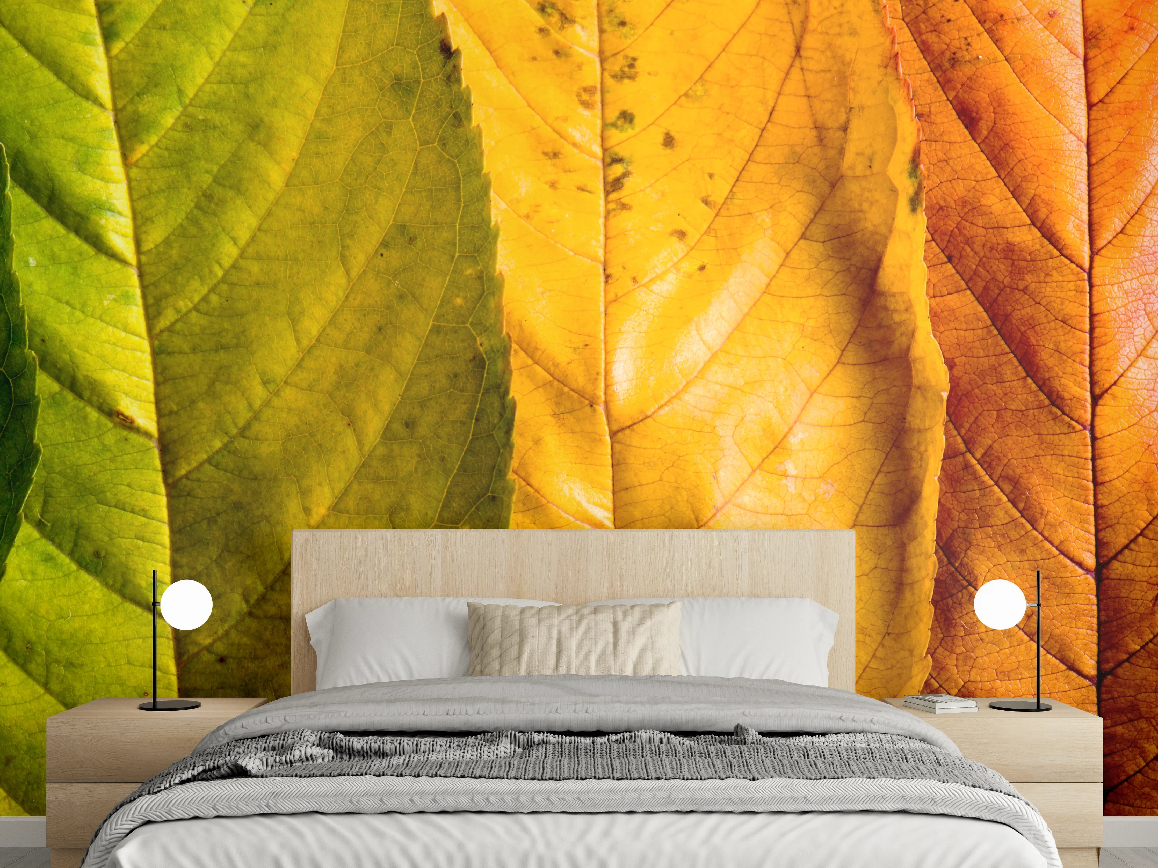 Wandverkleidung Schlafzimmer - Bunte Herbstblätter in lebendigen Farbtönen
