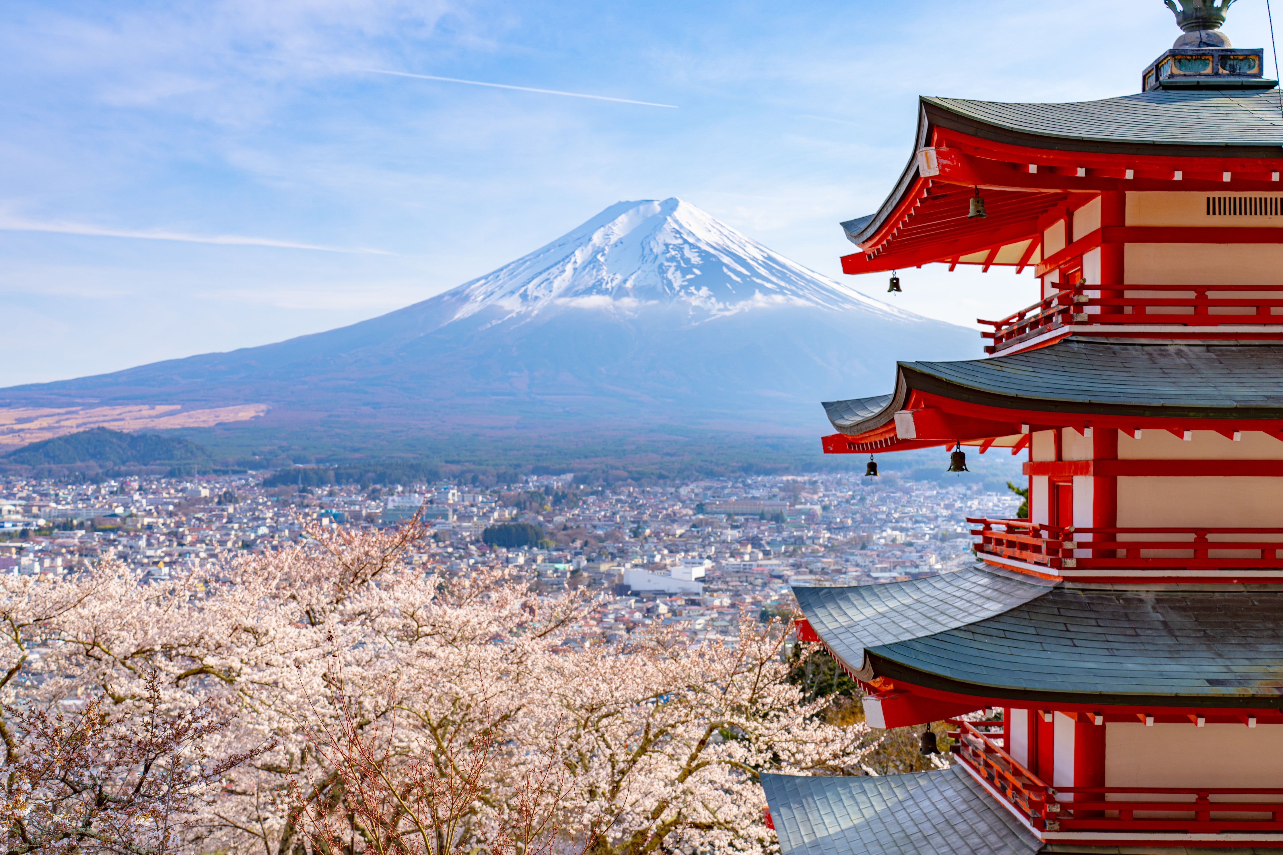 Wandverkleidung Schlafzimmer-Chureito-Pagode & Fuji – Kirschblüte Panorama