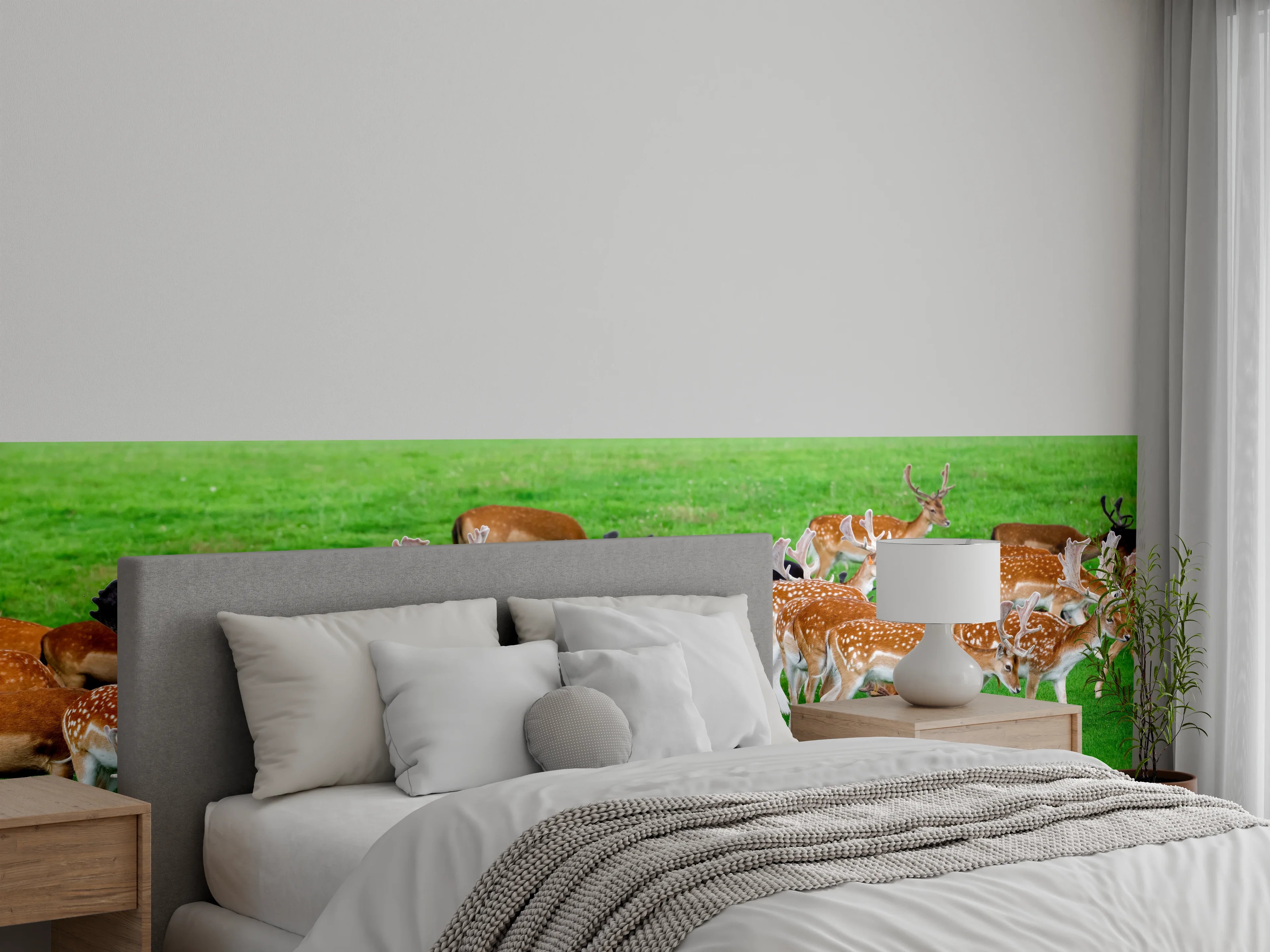 Wandverkleidung Schlafzimmer - Damwild-Herde auf grüner Wiese