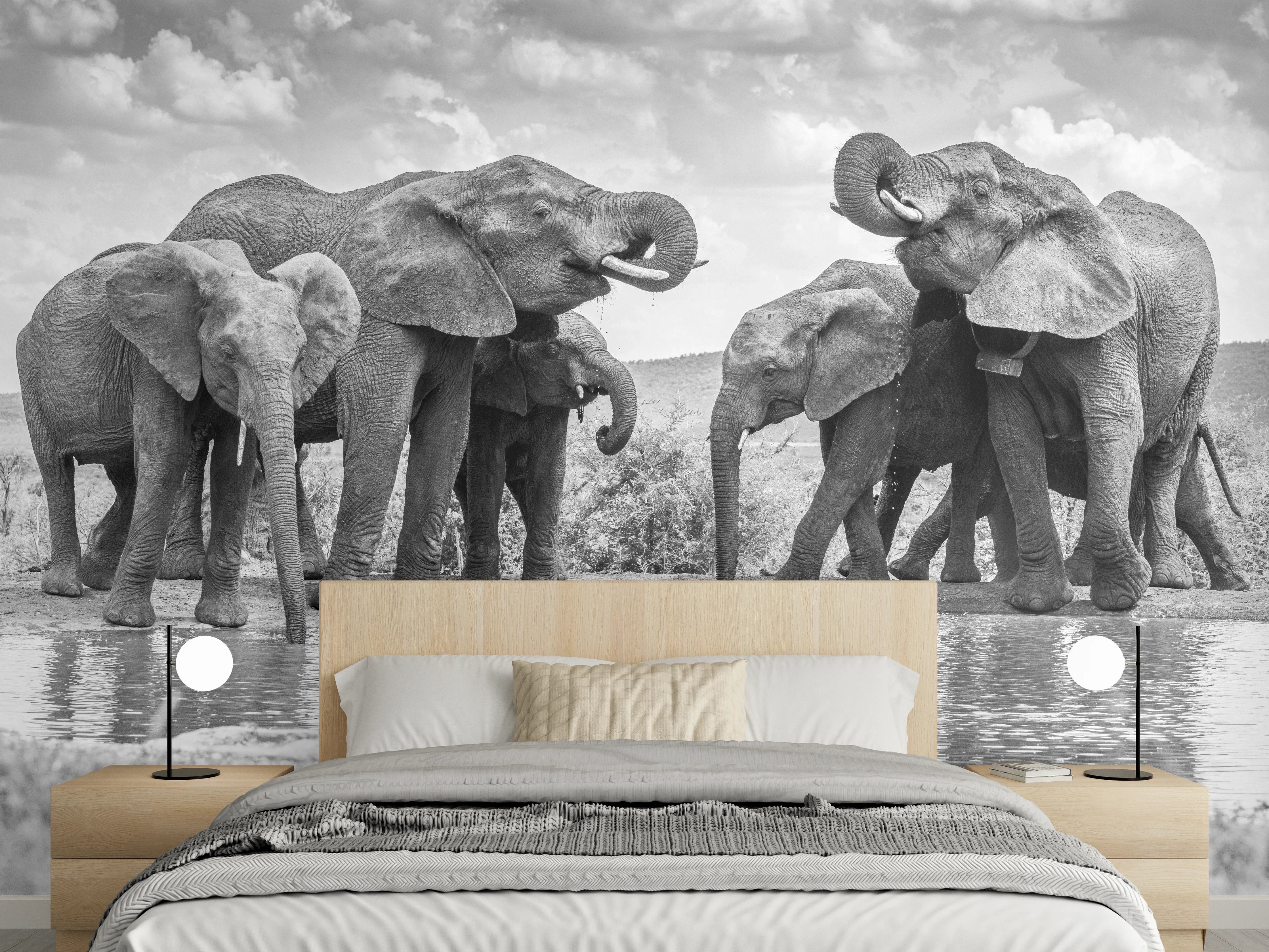 Wandverkleidung Schlafzimmer - Elefanten an der Wasserstelle