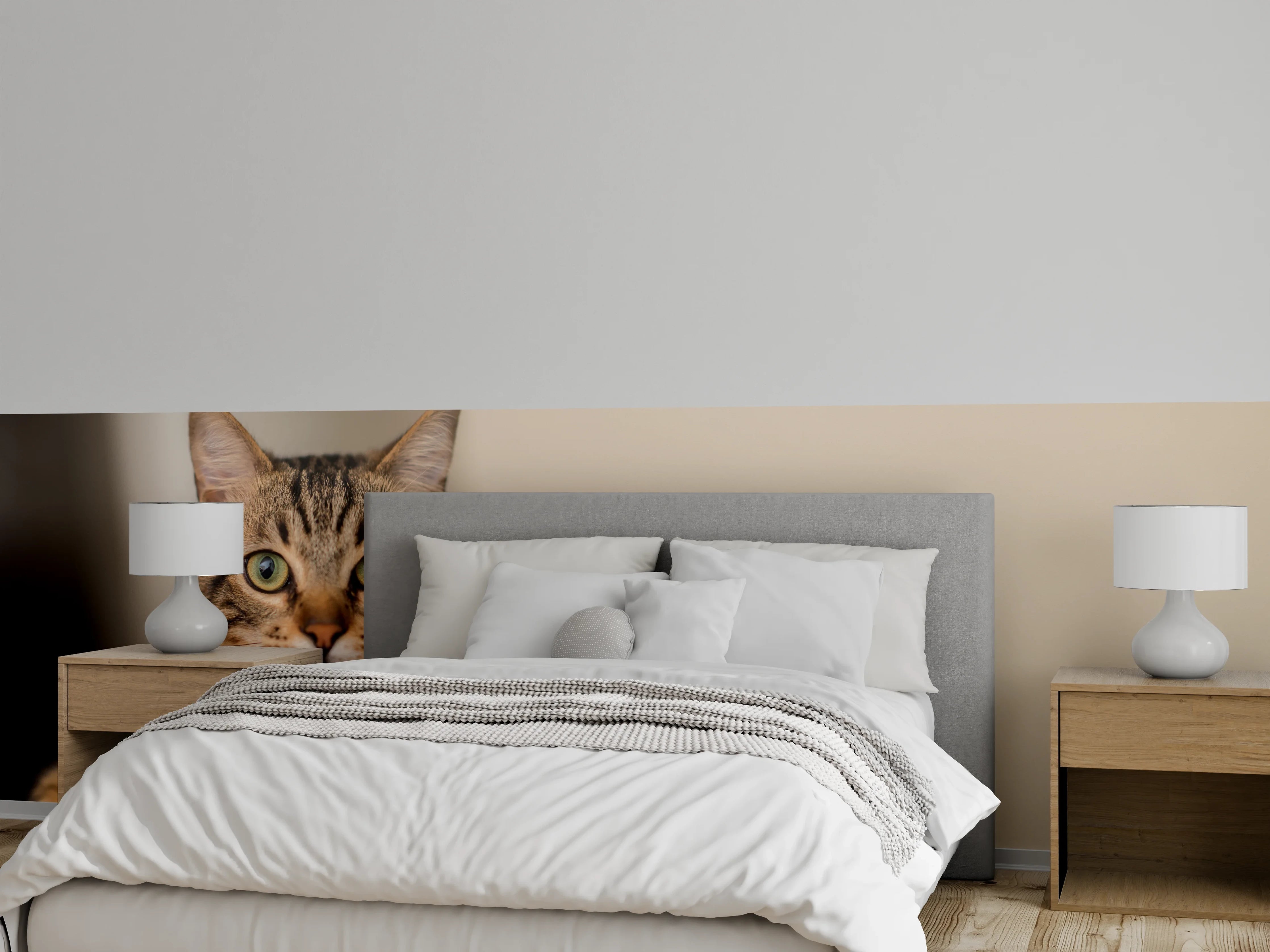 Wandverkleidung Schlafzimmer - Entspannte Hauskatze in Beige-Braun