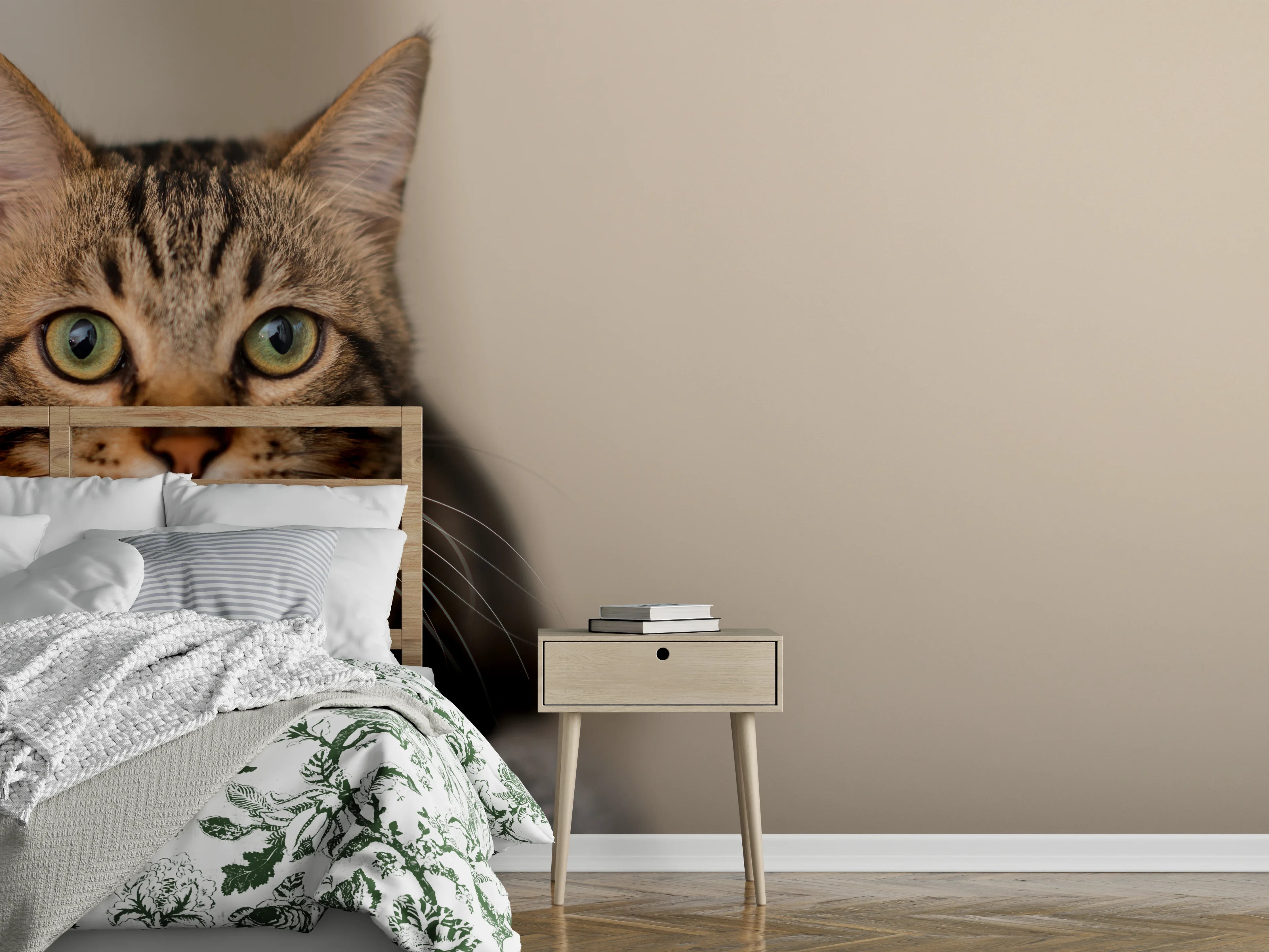 Wandverkleidung Schlafzimmer - Entspannte Hauskatze in Beige-Braun