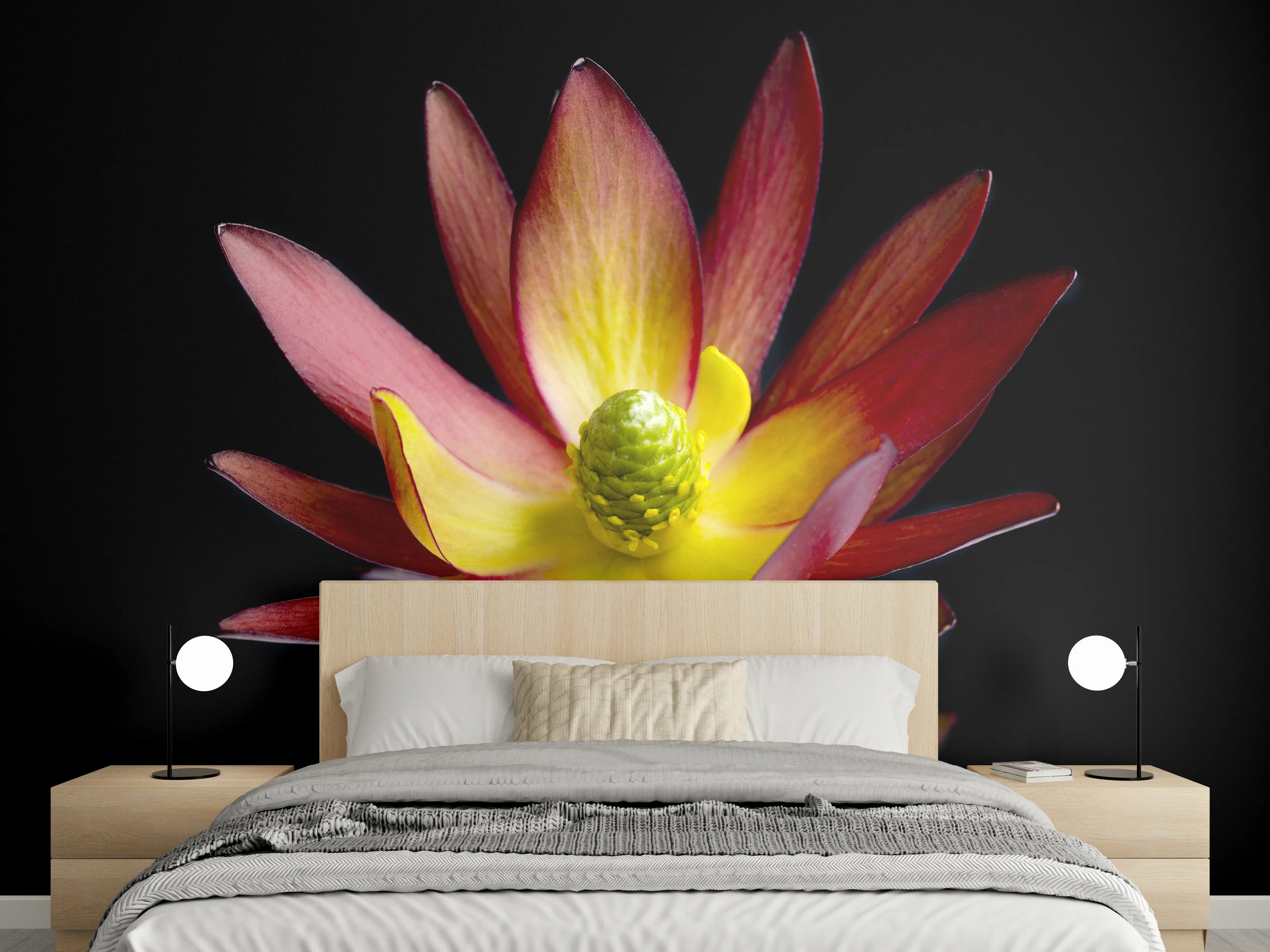 Wandverkleidung Schlafzimmer - Exotische Blüte in Rot-Gelb auf Schwarz