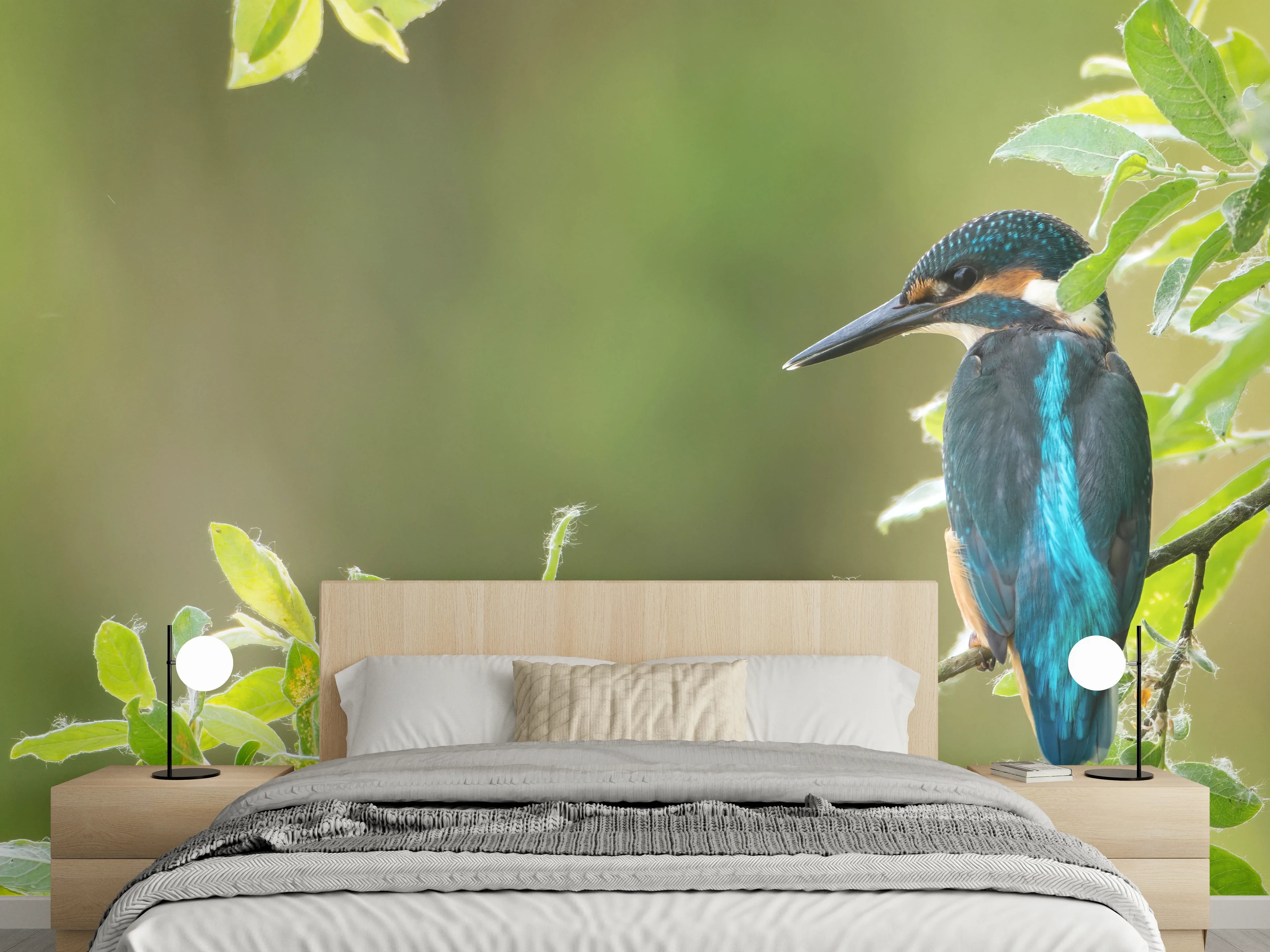 Wandverkleidung Schlafzimmer - Exotischer friedlicher Eisvogel