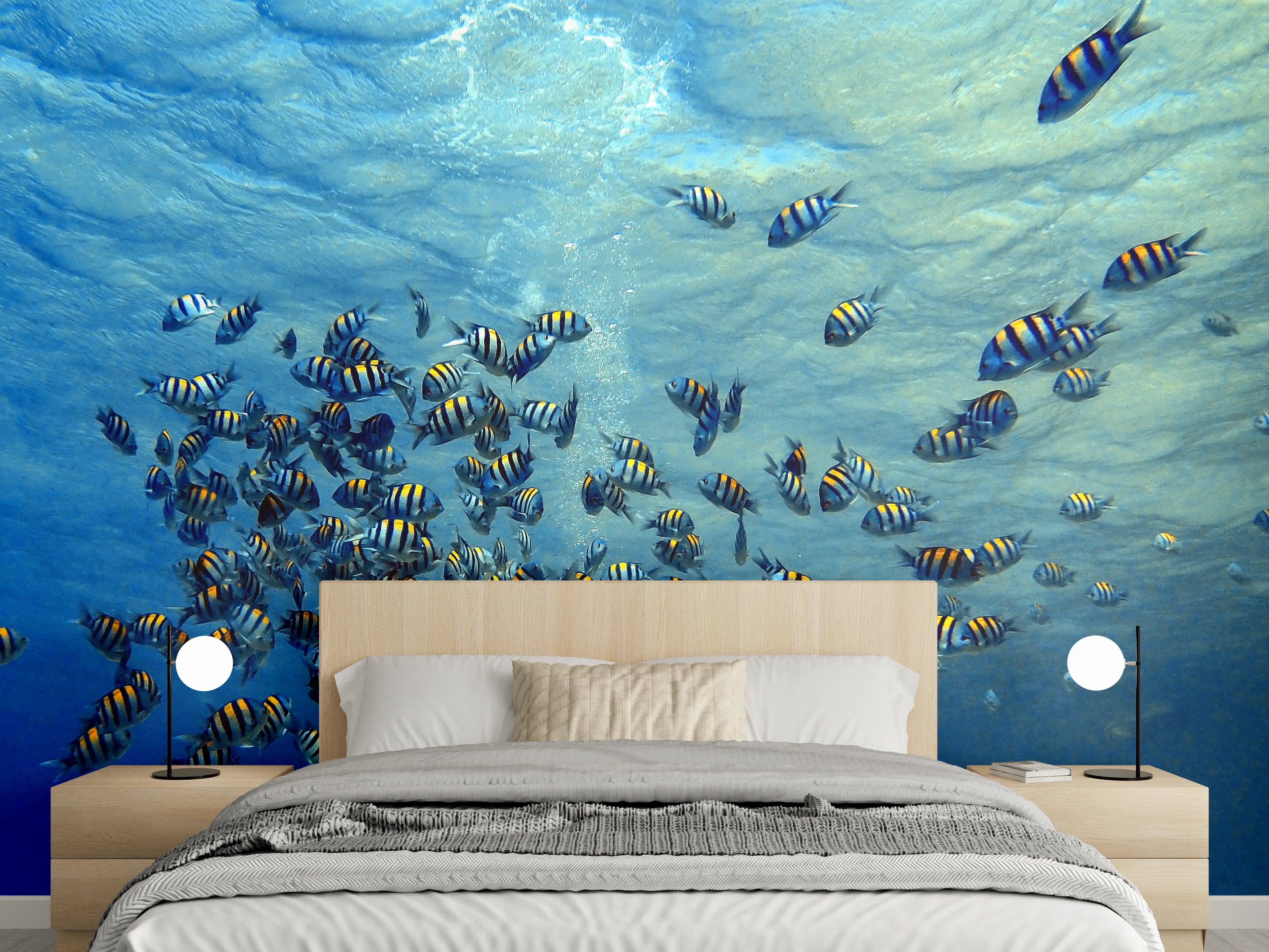 Wandverkleidung Schlafzimmer - Fische im klarem Meer