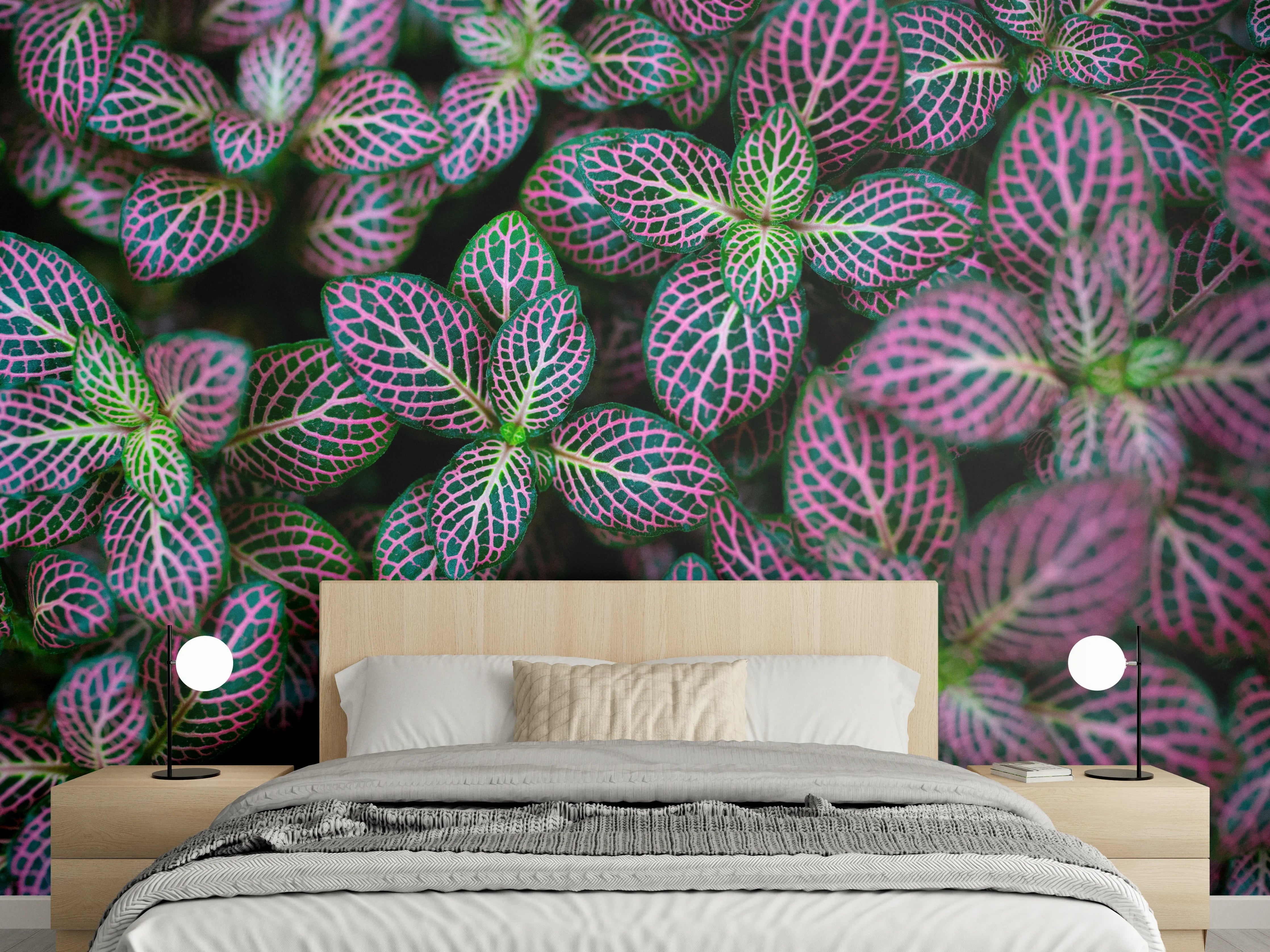 Wandverkleidung Schlafzimmer - Fittonia-Mosaikpflanze: Grünes Kunstwerk Wandbild