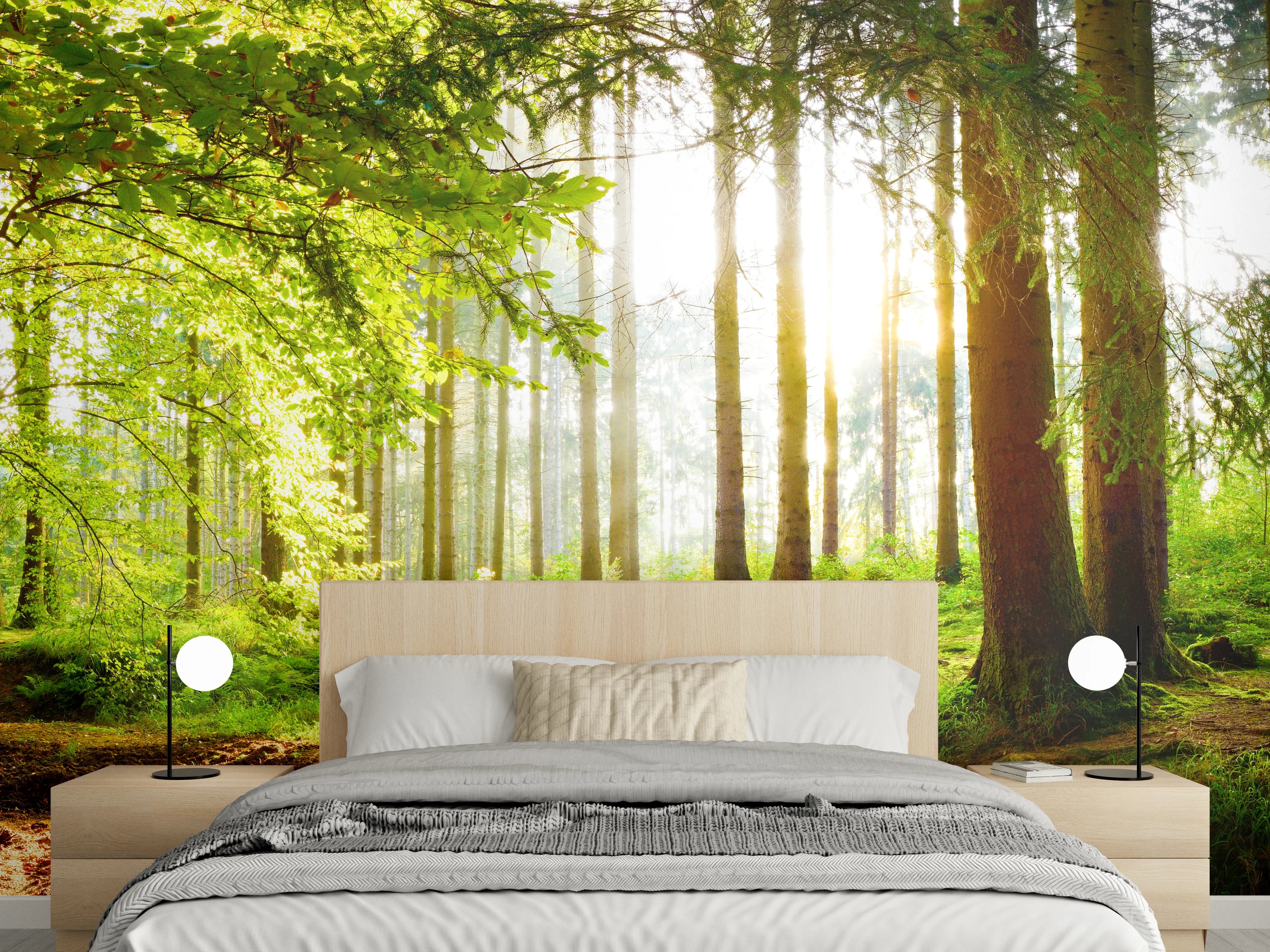 Wandverkleidung Schlafzimmer - Frühlingswald mit Sonnenschein