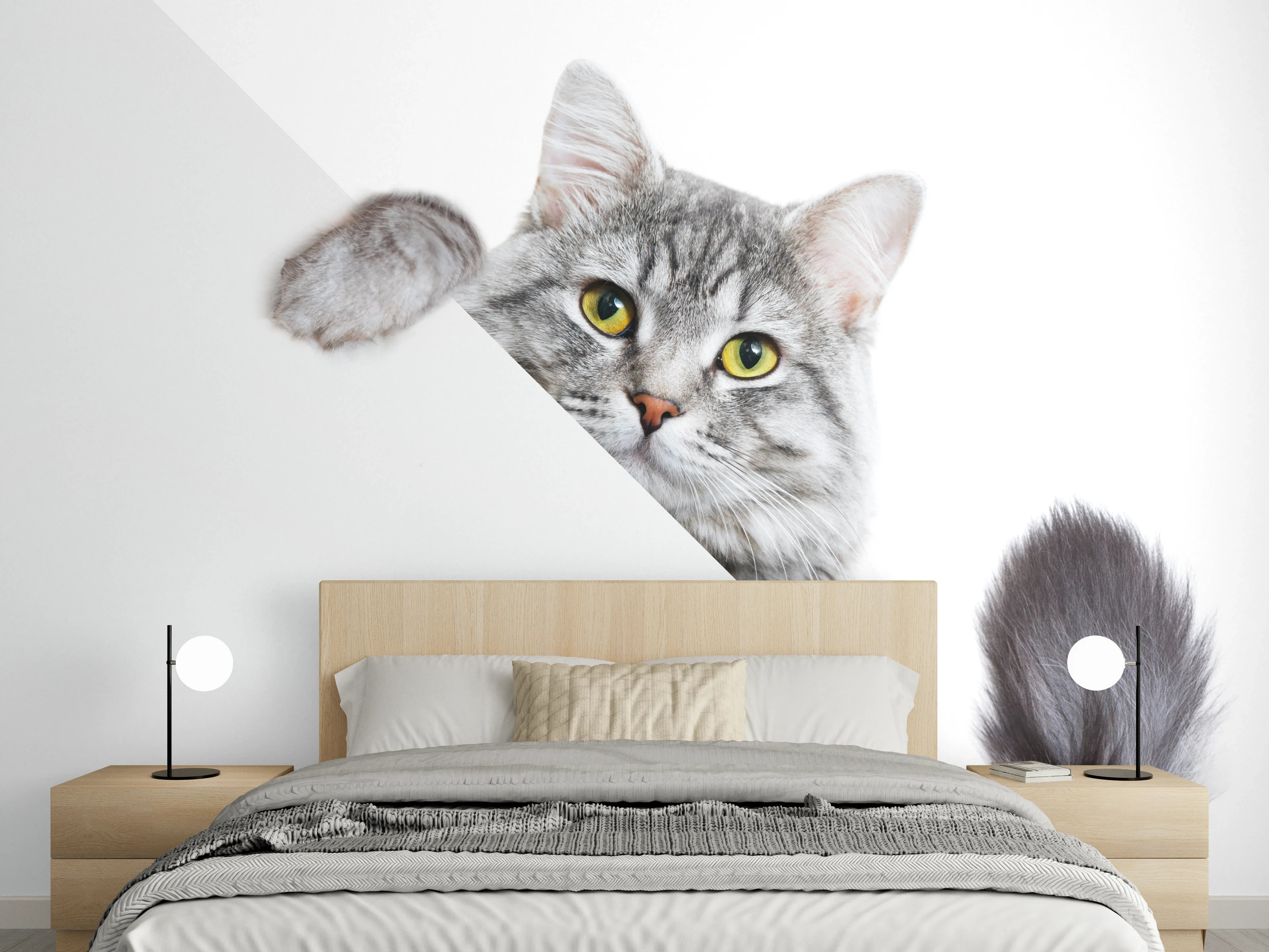 Wandverkleidung Schlafzimmer - Getigertes Kätzchen