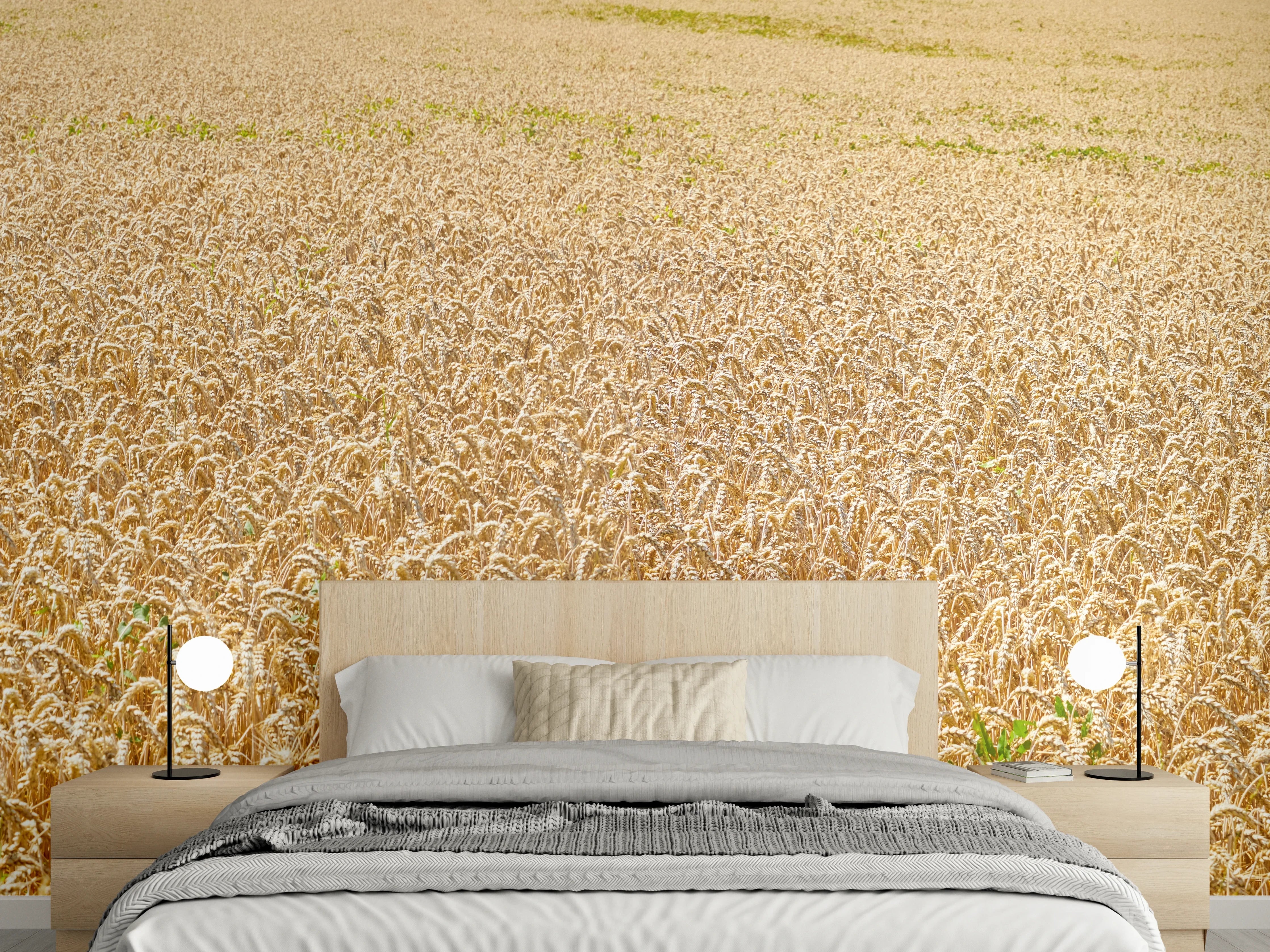 Wandverkleidung Schlafzimmer - Getreidefeld - Panoramabild