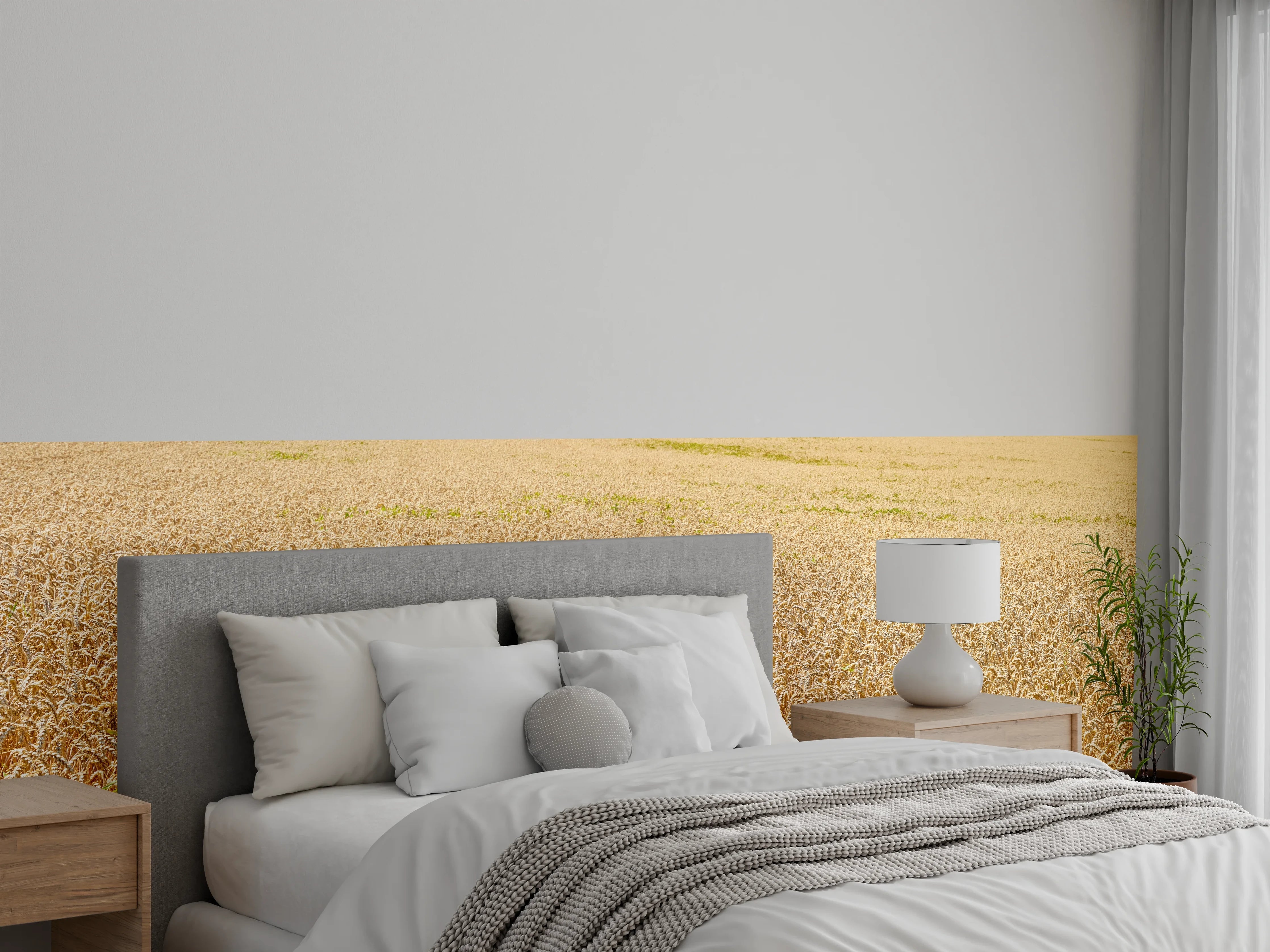 Wandverkleidung Schlafzimmer - Getreidefeld - Panoramabild