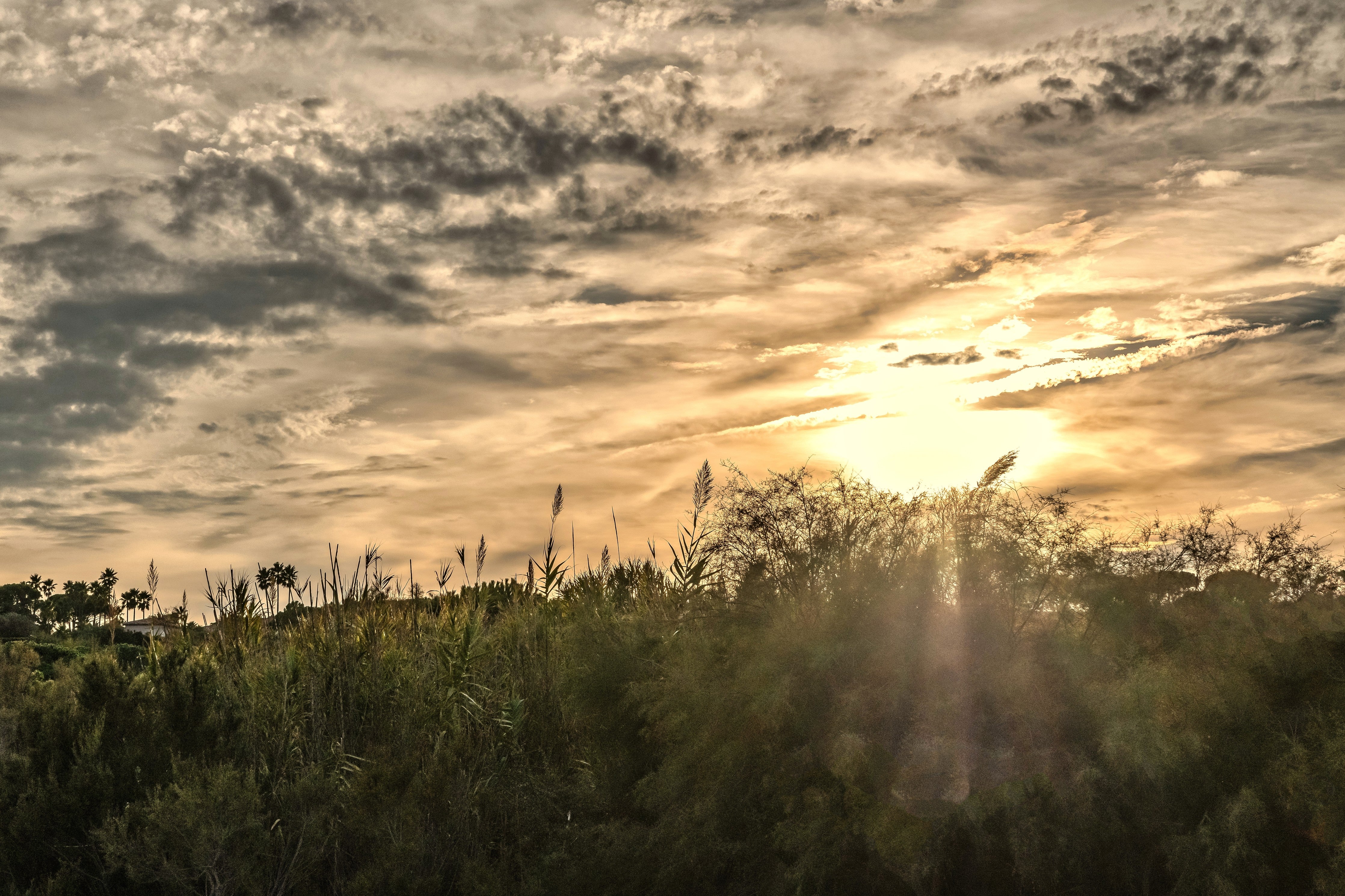Wandverkleidung Schlafzimmer-Goldener Sonnenuntergang über grüner Landschaft
