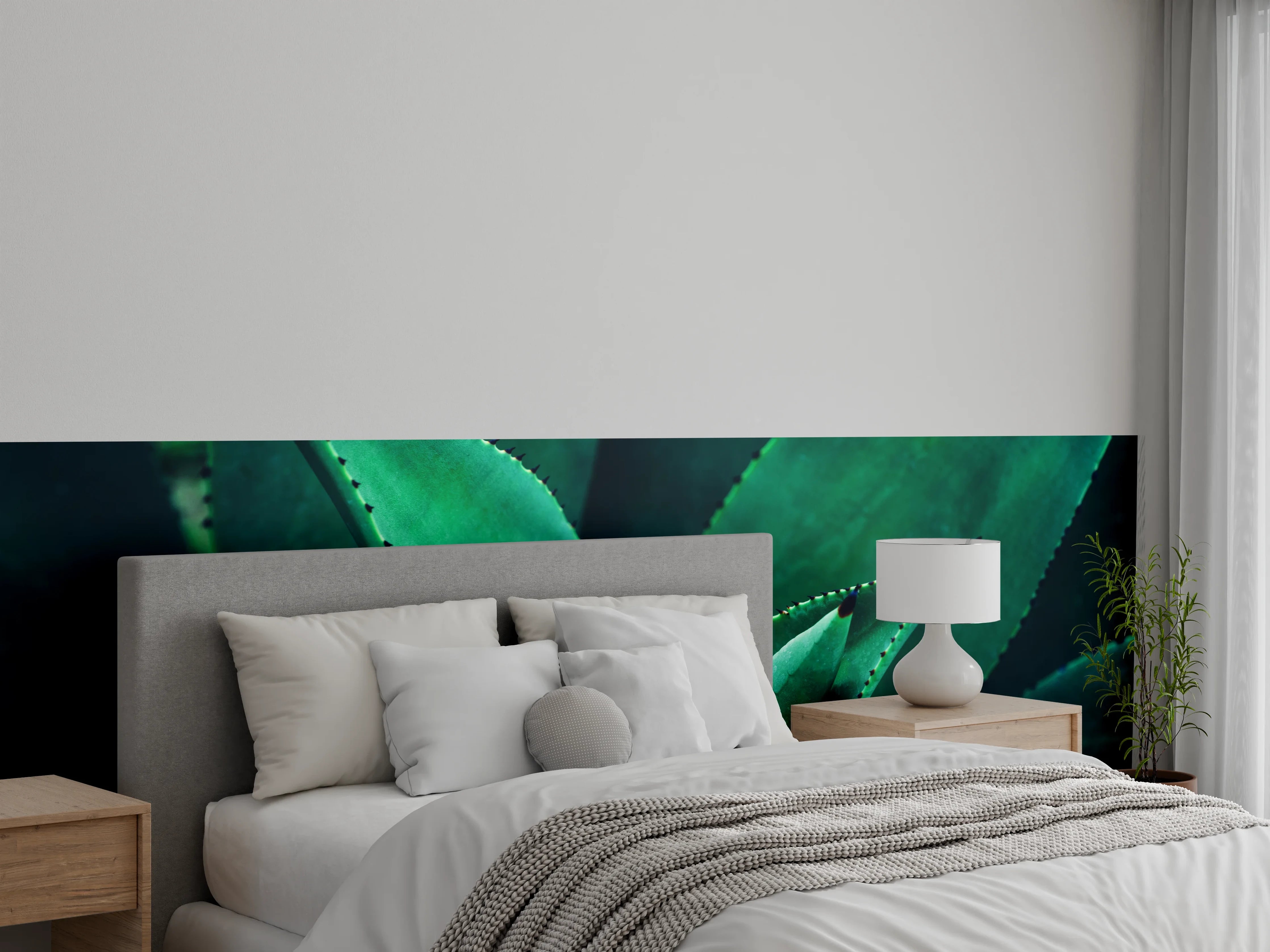 Wandverkleidung Schlafzimmer - Graugrüne Agavenblätter im Licht