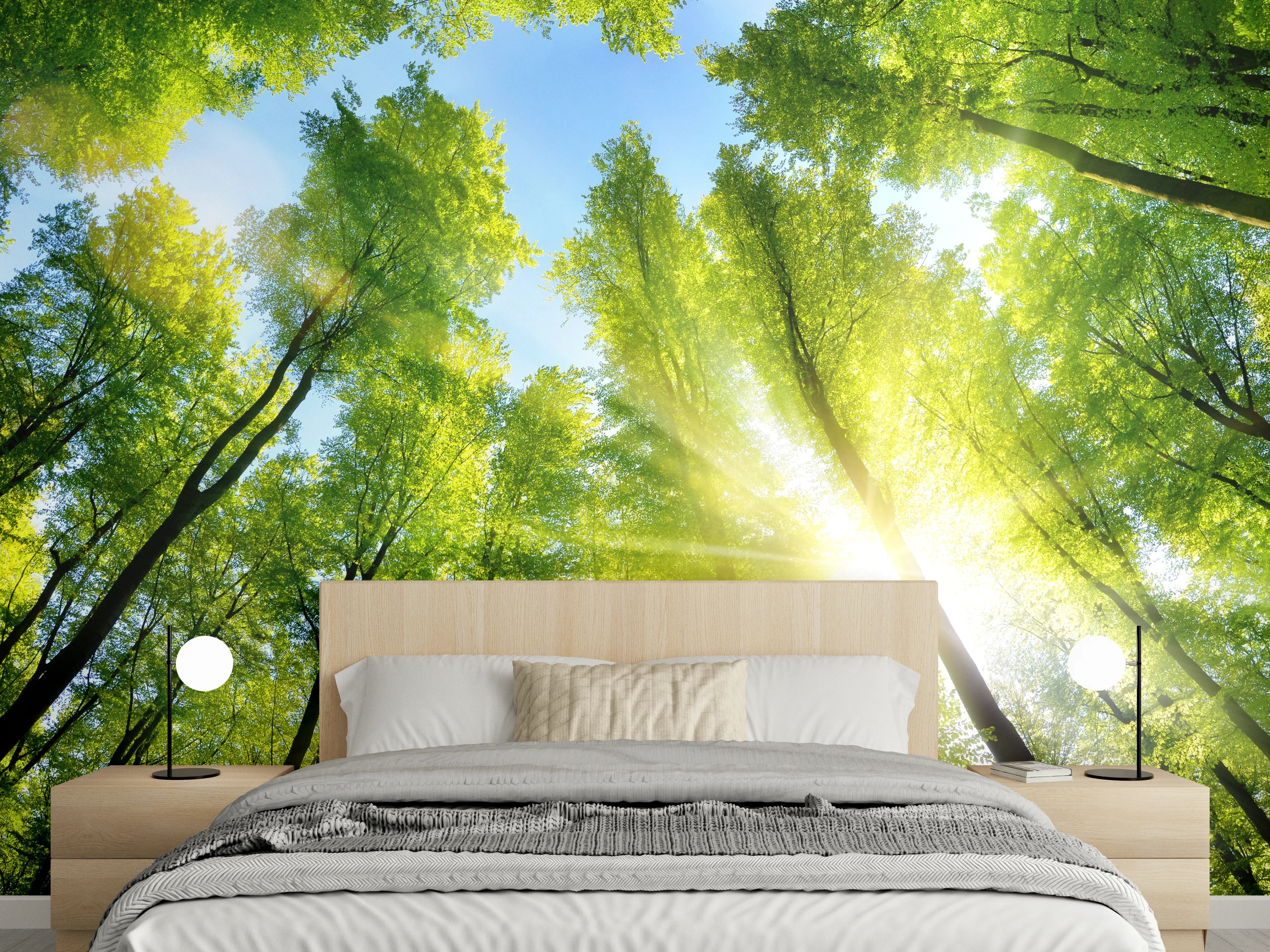 Wandverkleidung Schlafzimmer - Grüner Waldblick mit Sonnenstrahlen