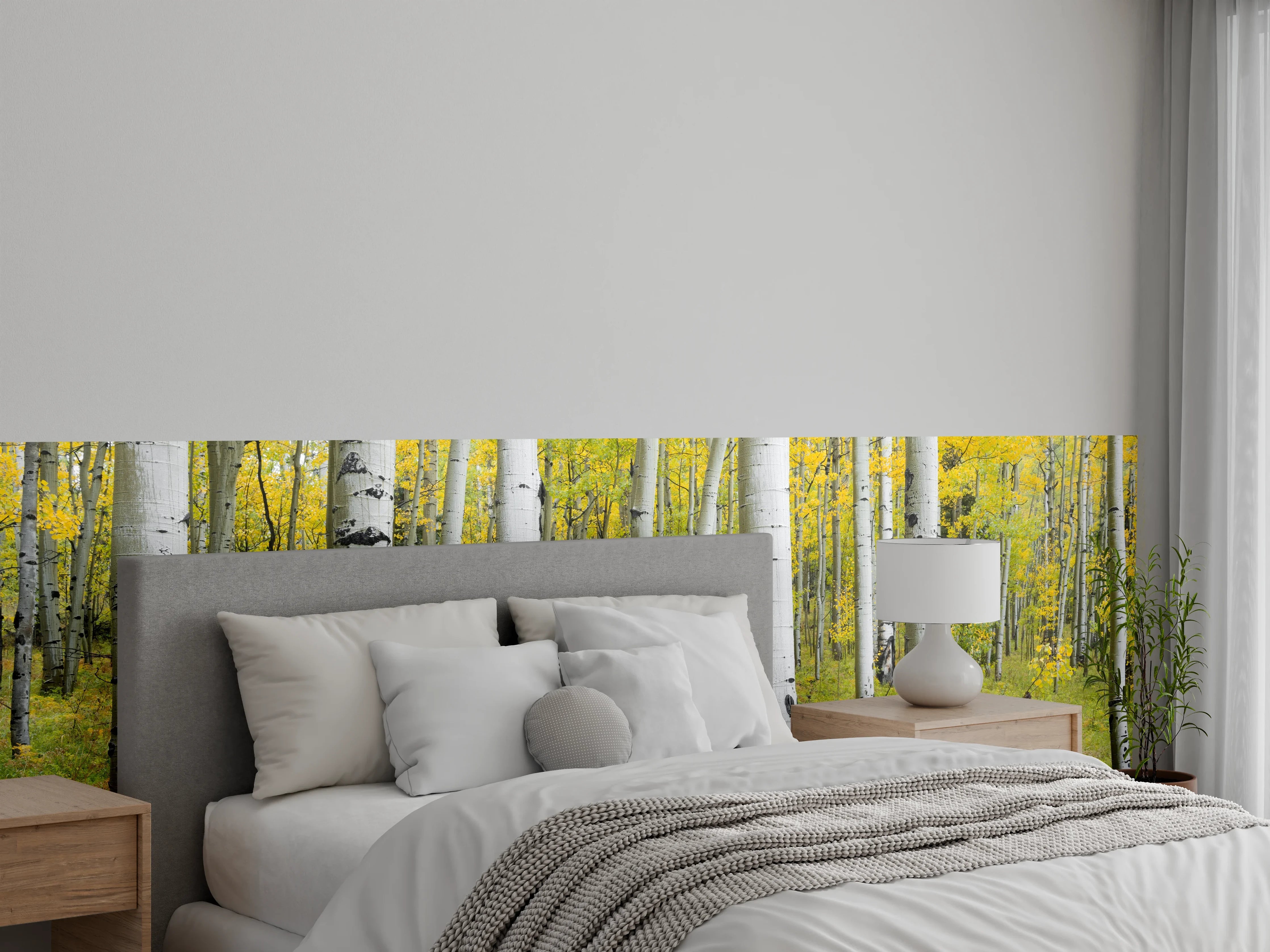 Wandverkleidung Schlafzimmer - Heller Birkenwald Naturfotografie