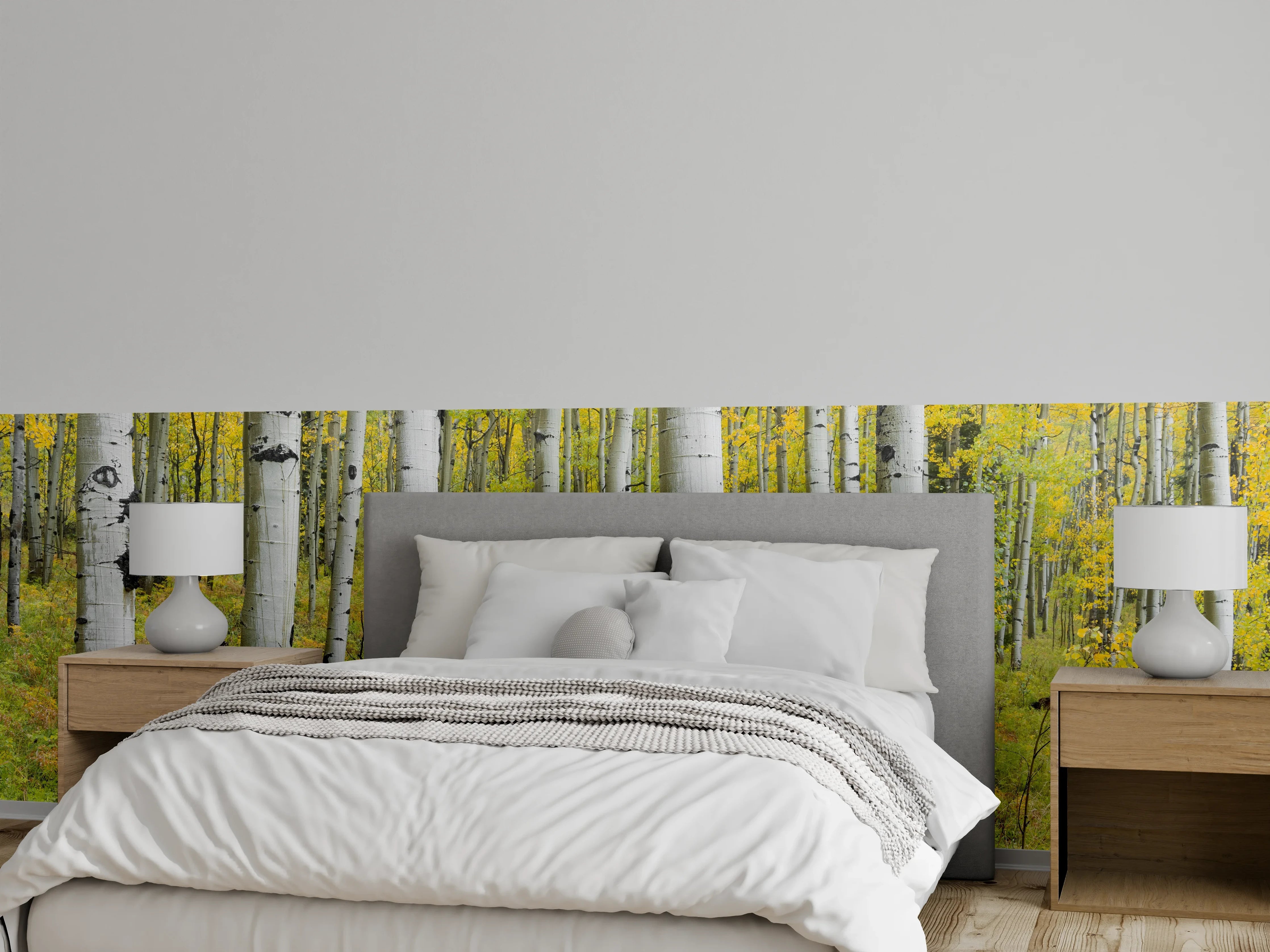 Wandverkleidung Schlafzimmer - Heller Birkenwald Naturfotografie