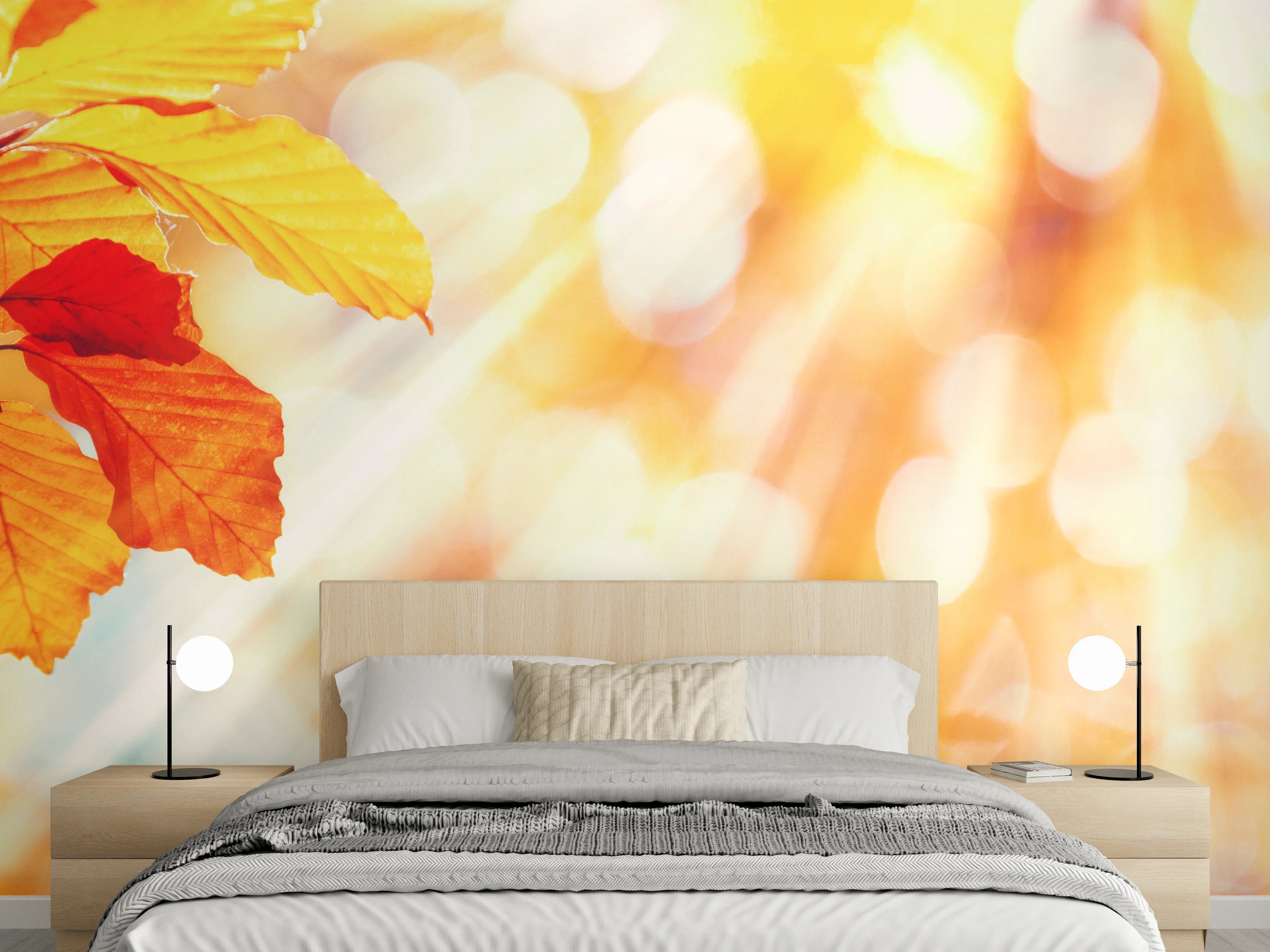 Wandverkleidung Schlafzimmer - Herbstliche Blätter im Sonnenlicht