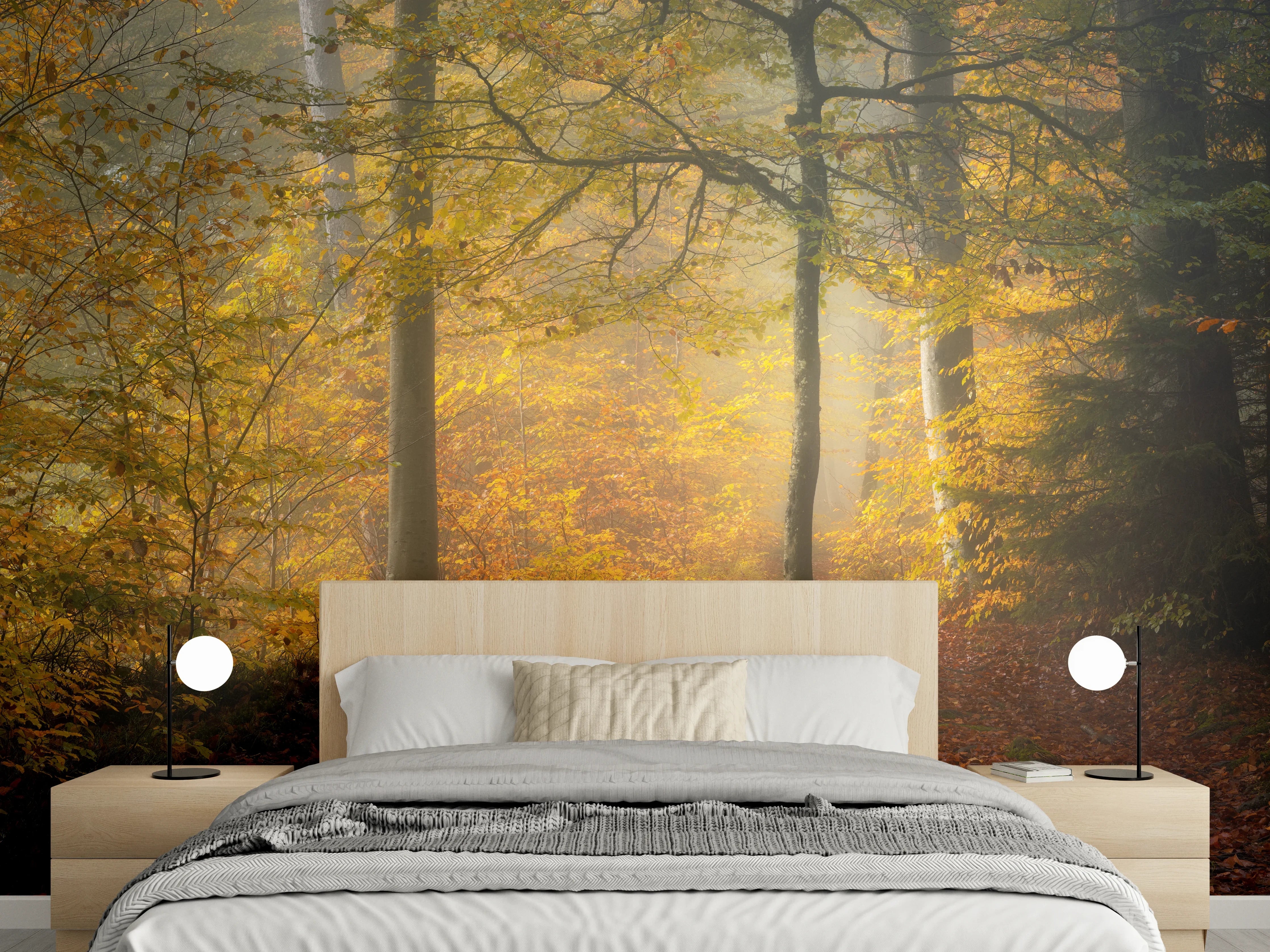 Wandverkleidung Schlafzimmer - Herbstlicher Wald im Morgennebel