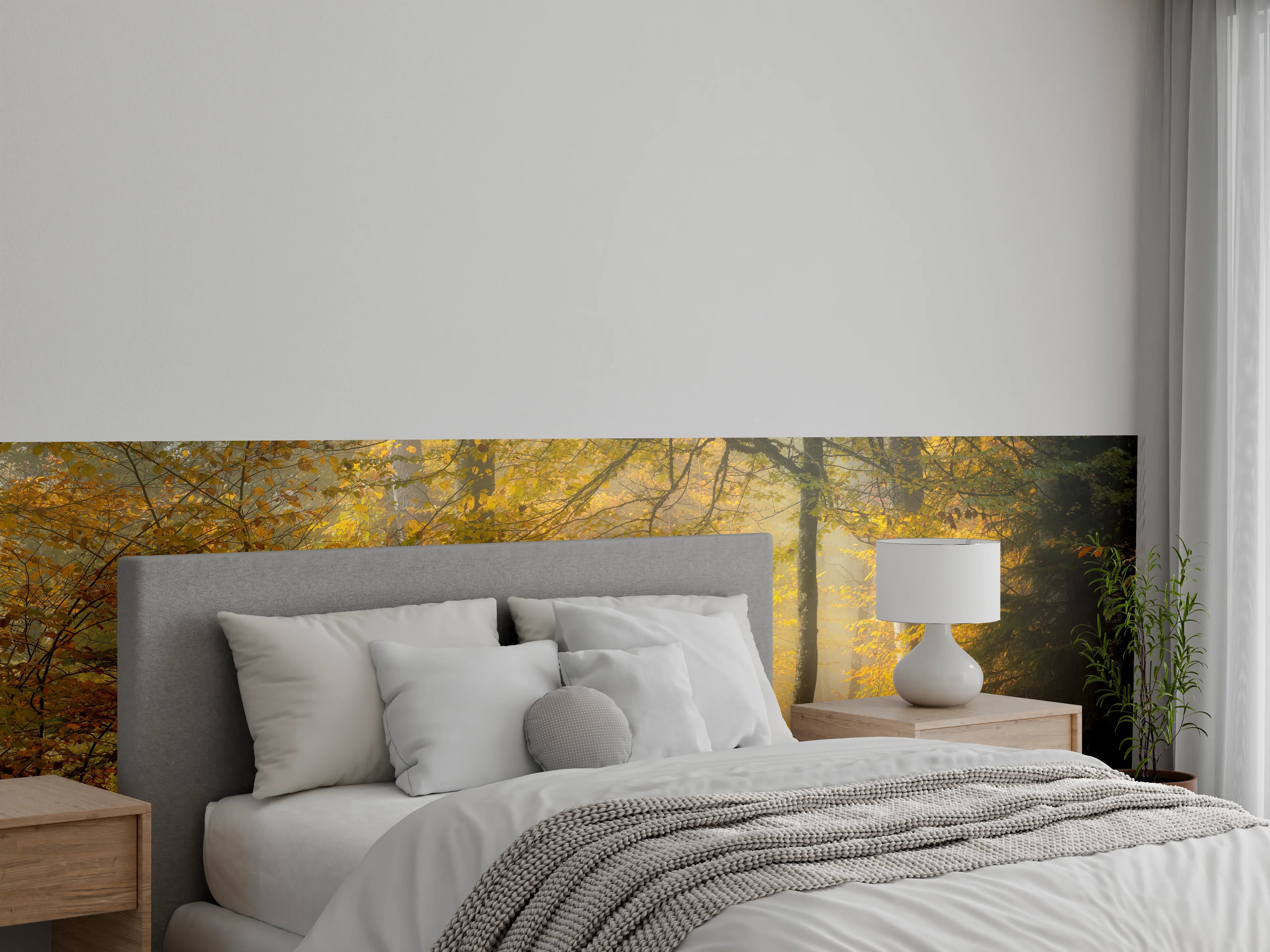 Wandverkleidung Schlafzimmer - Herbstlicher Wald im Morgennebel