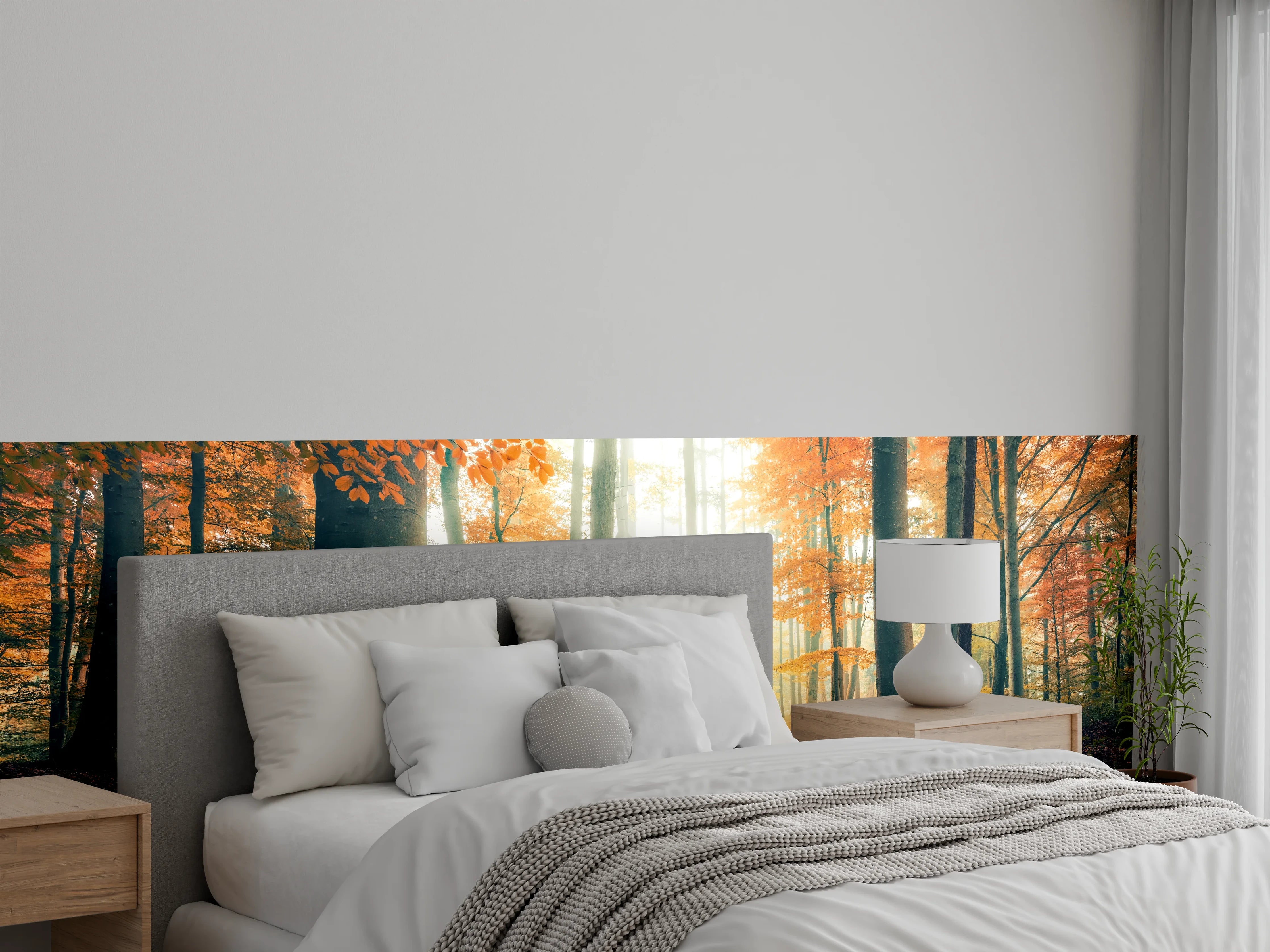 Wandverkleidung Schlafzimmer - Herbstlicher Wald im Sonnenlicht