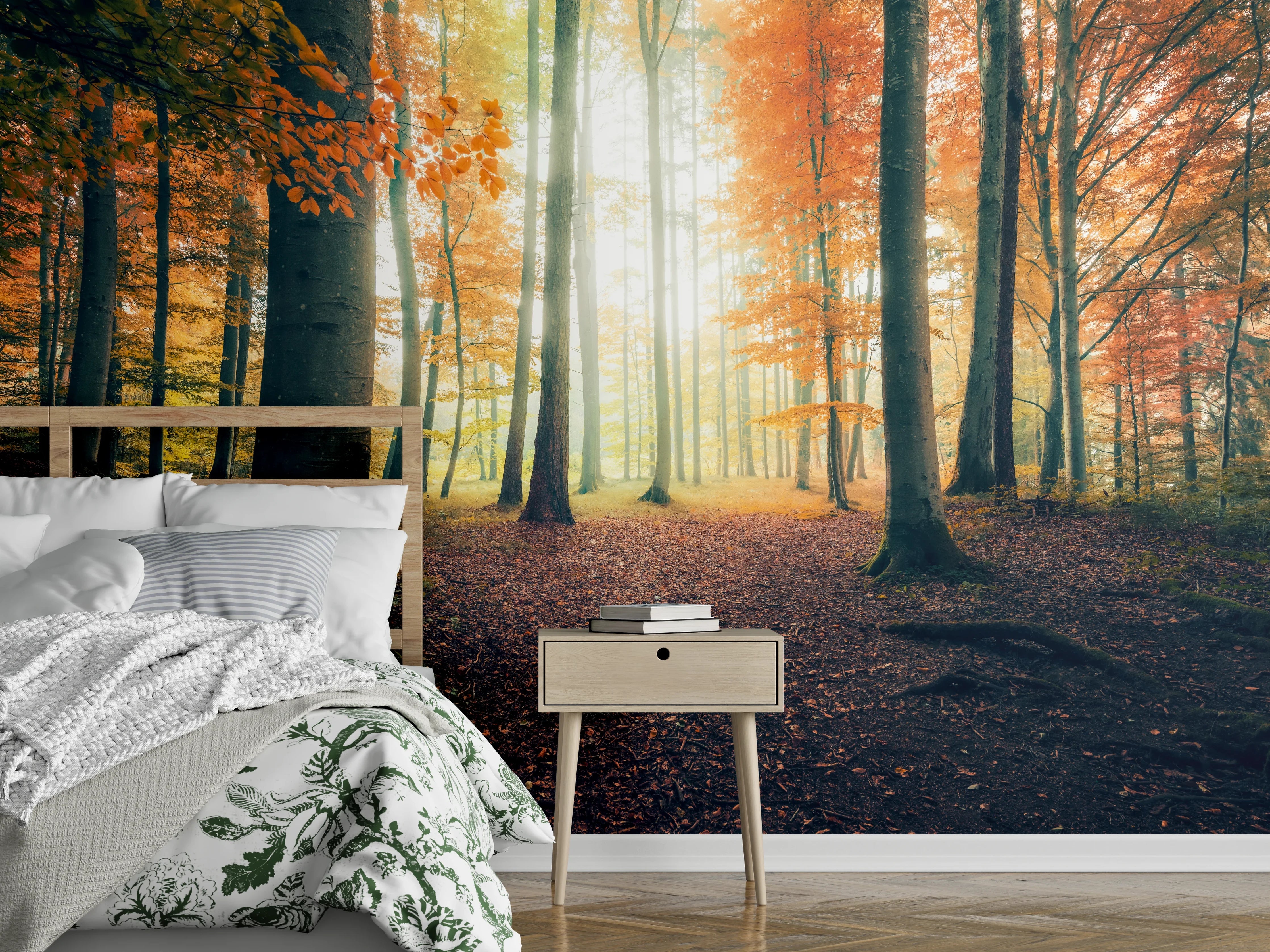 Wandverkleidung Schlafzimmer - Herbstlicher Wald im Sonnenlicht