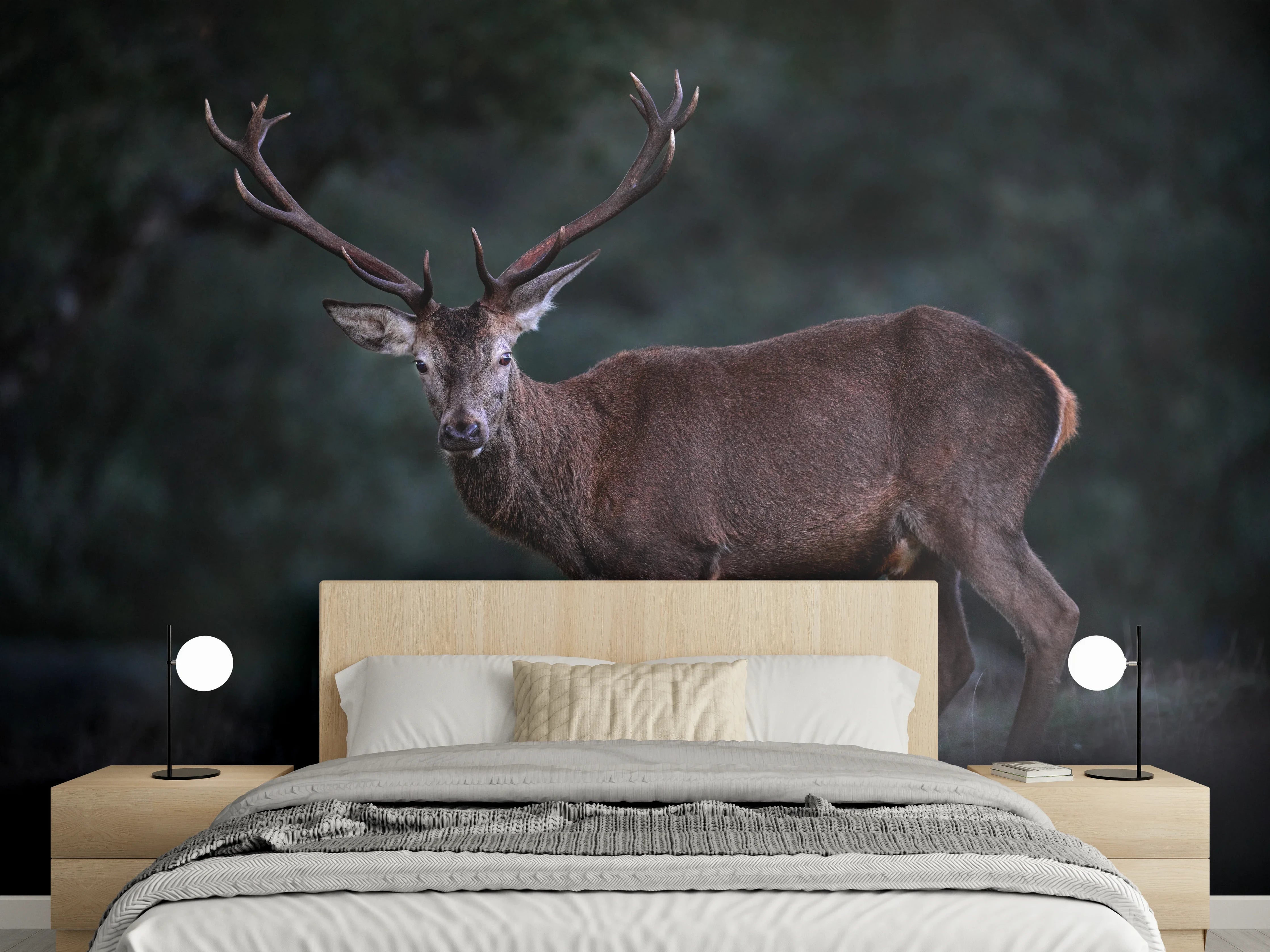 Wandverkleidung Schlafzimmer - Hirsche Gebirge Sierra de Andujar