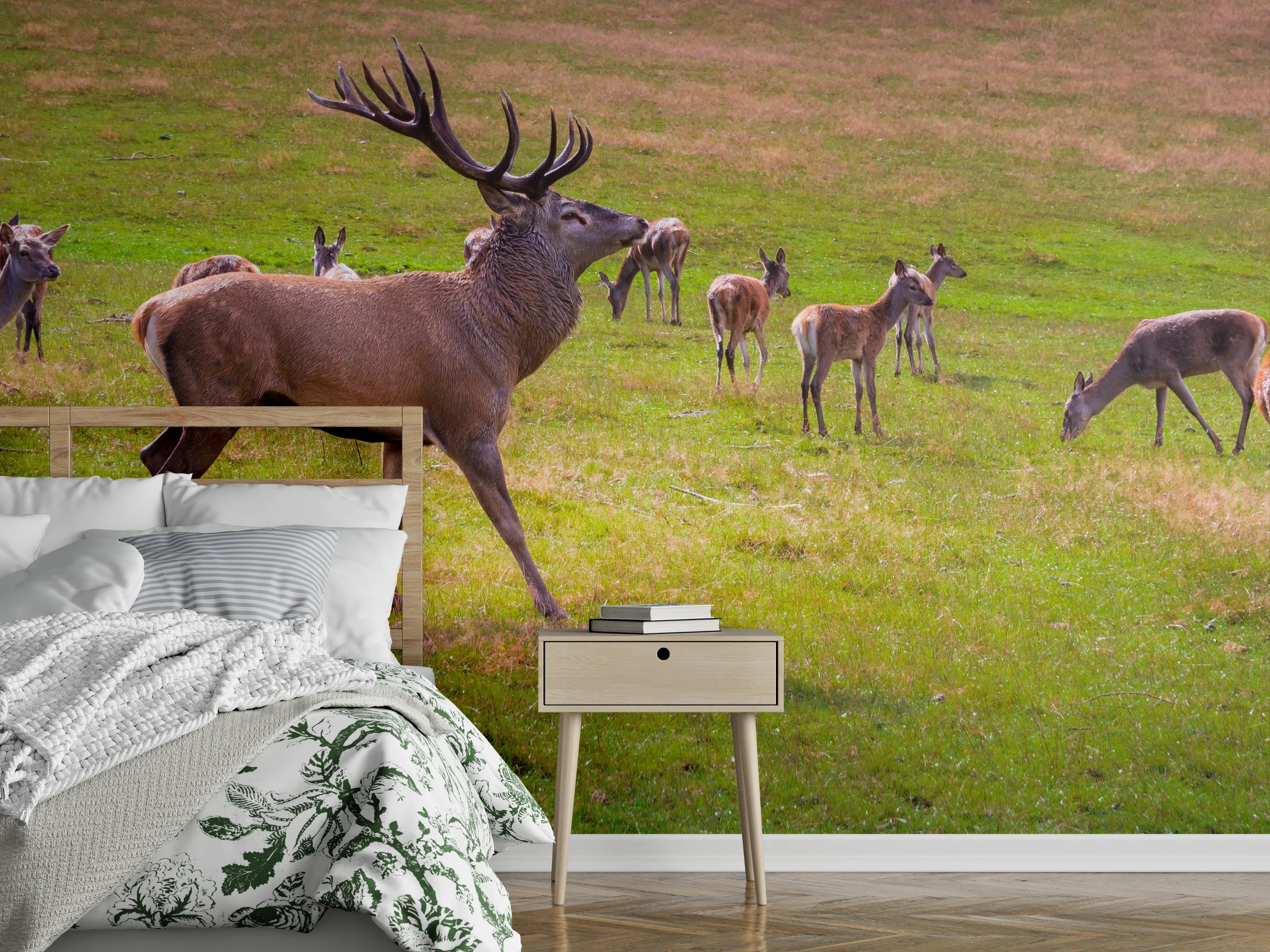 Wandverkleidung Schlafzimmer - Hirschrudel auf grüner Wiese