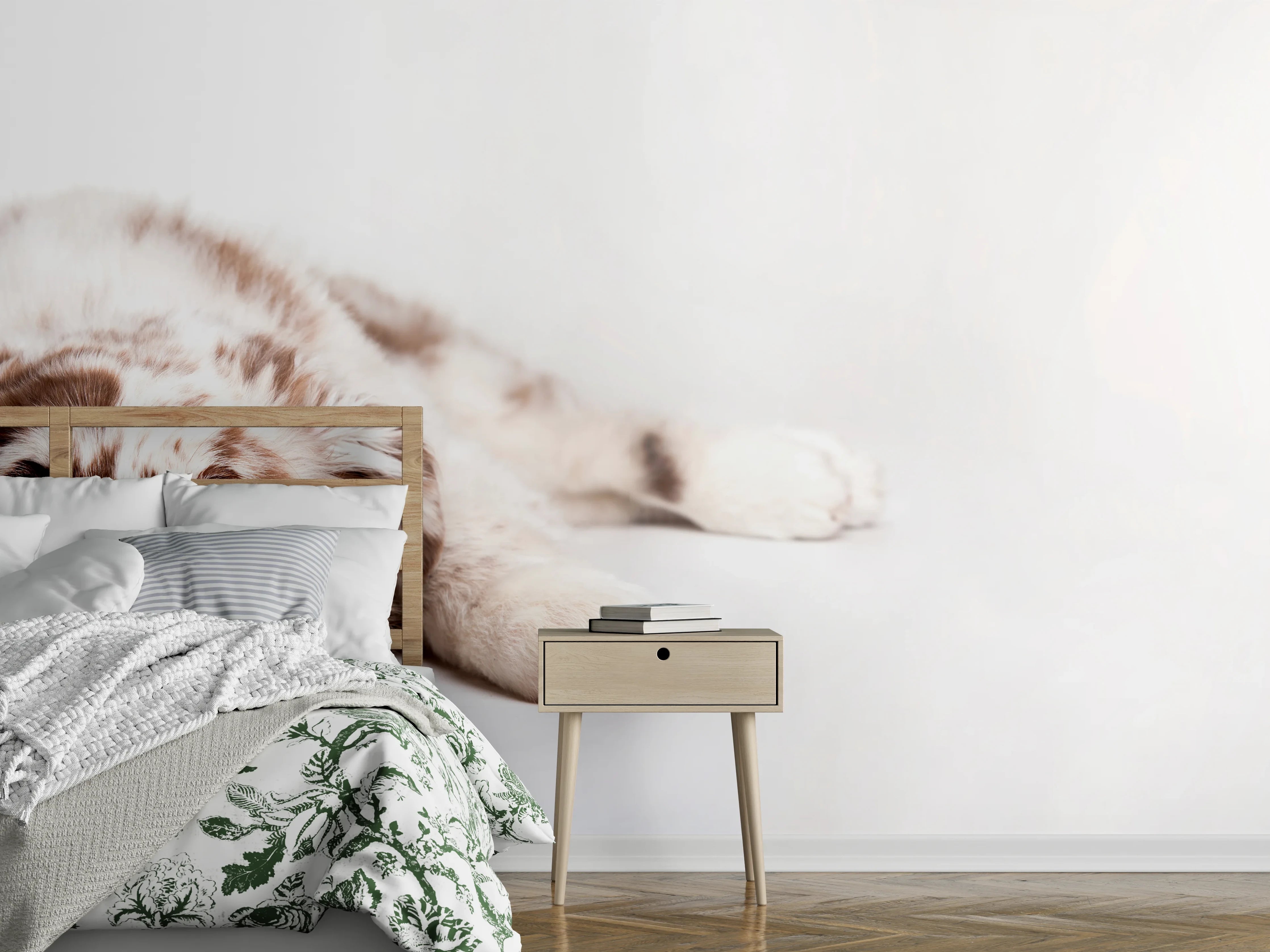 Wandverkleidung Schlafzimmer - Hunde Portrait - Australian Shepherd