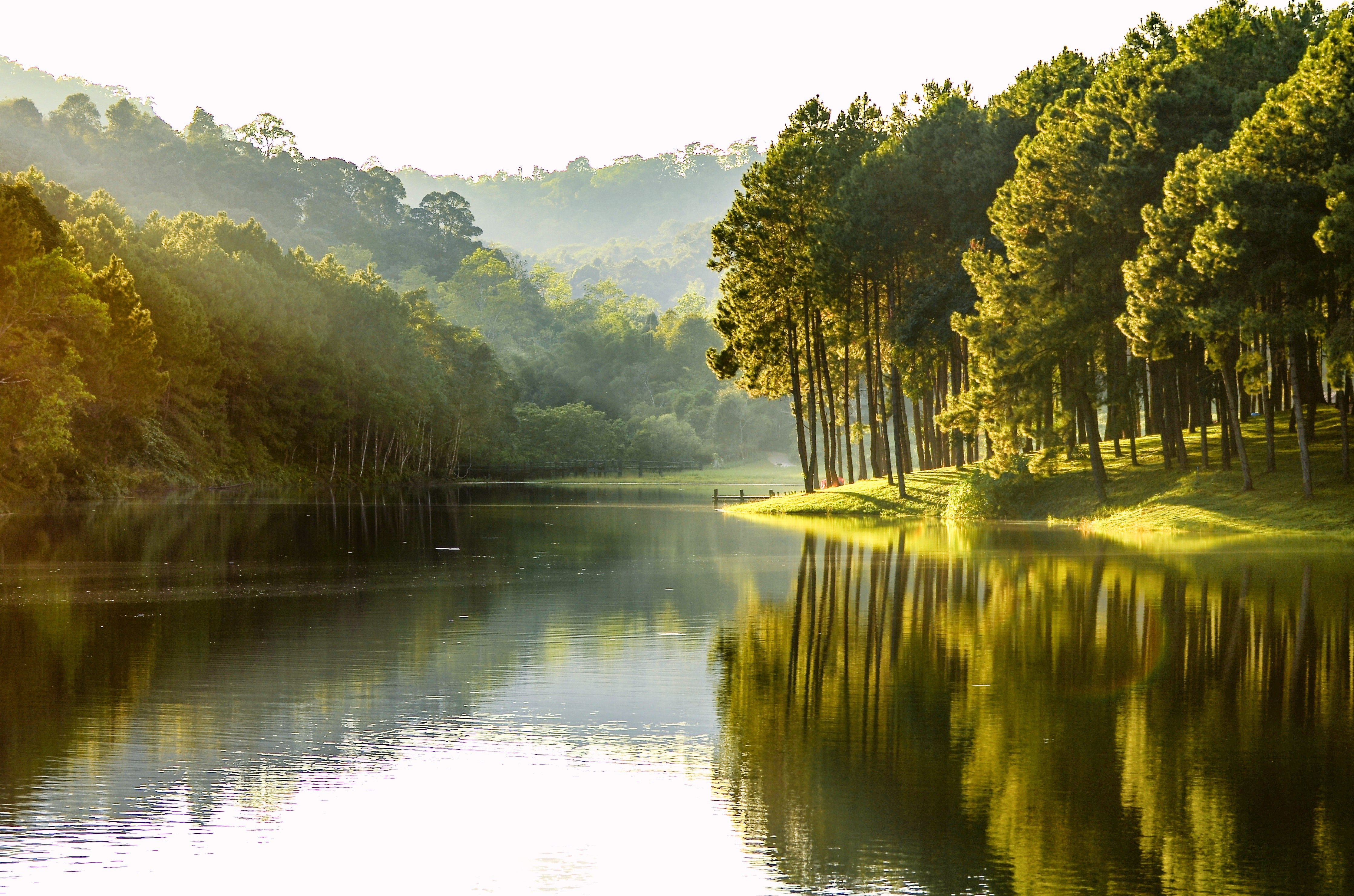Wandverkleidung Schlafzimmer-Idyllischer Waldsee am Morgen