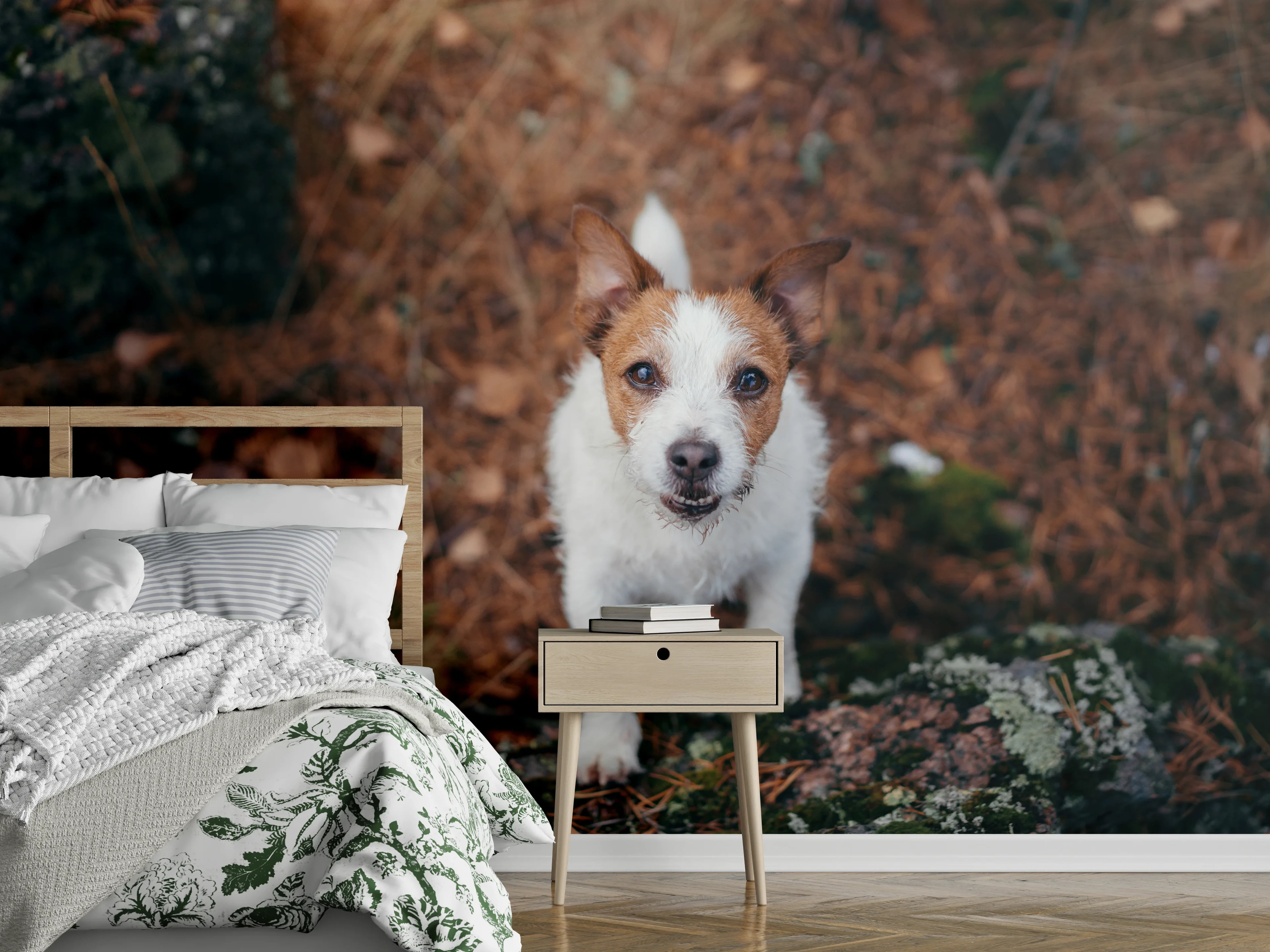 Wandverkleidung Schlafzimmer - Jack Russell im herbstlichen Park