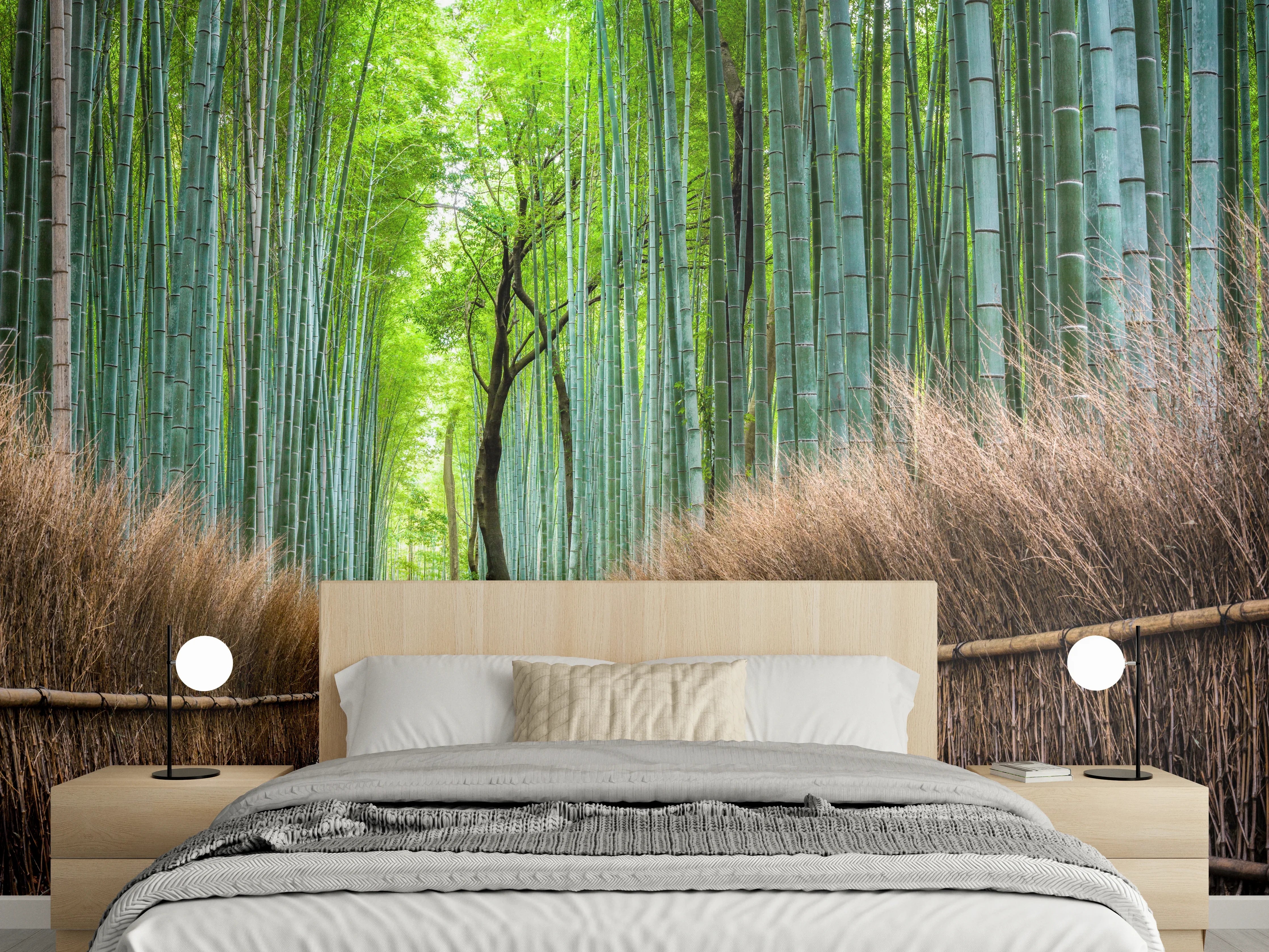 Wandverkleidung Schlafzimmer - Japanischer Bambuswald in Arashiyama