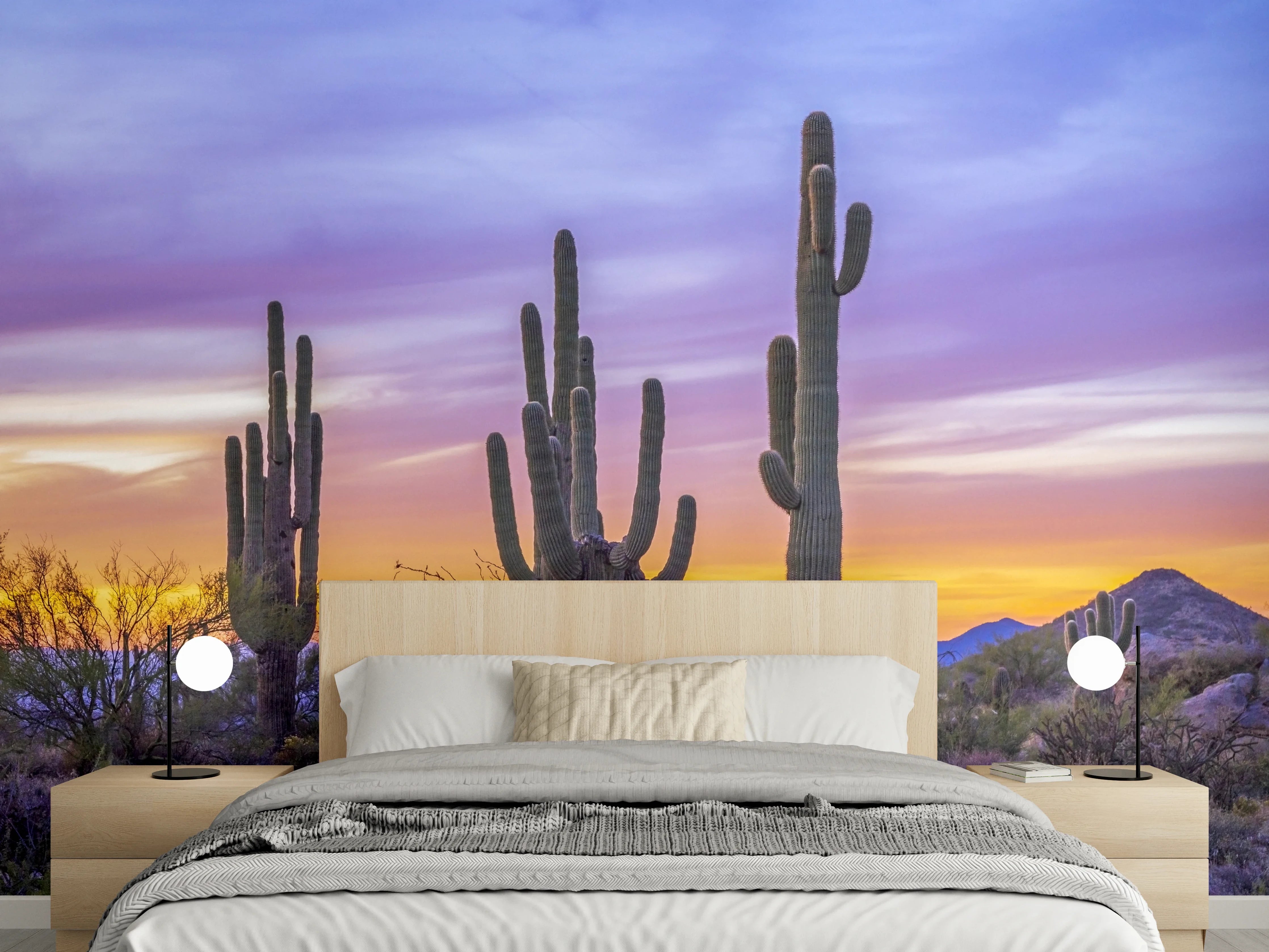 Wandverkleidung Schlafzimmer - Kaktus Sonnenuntergang Landschaft Fotokunst