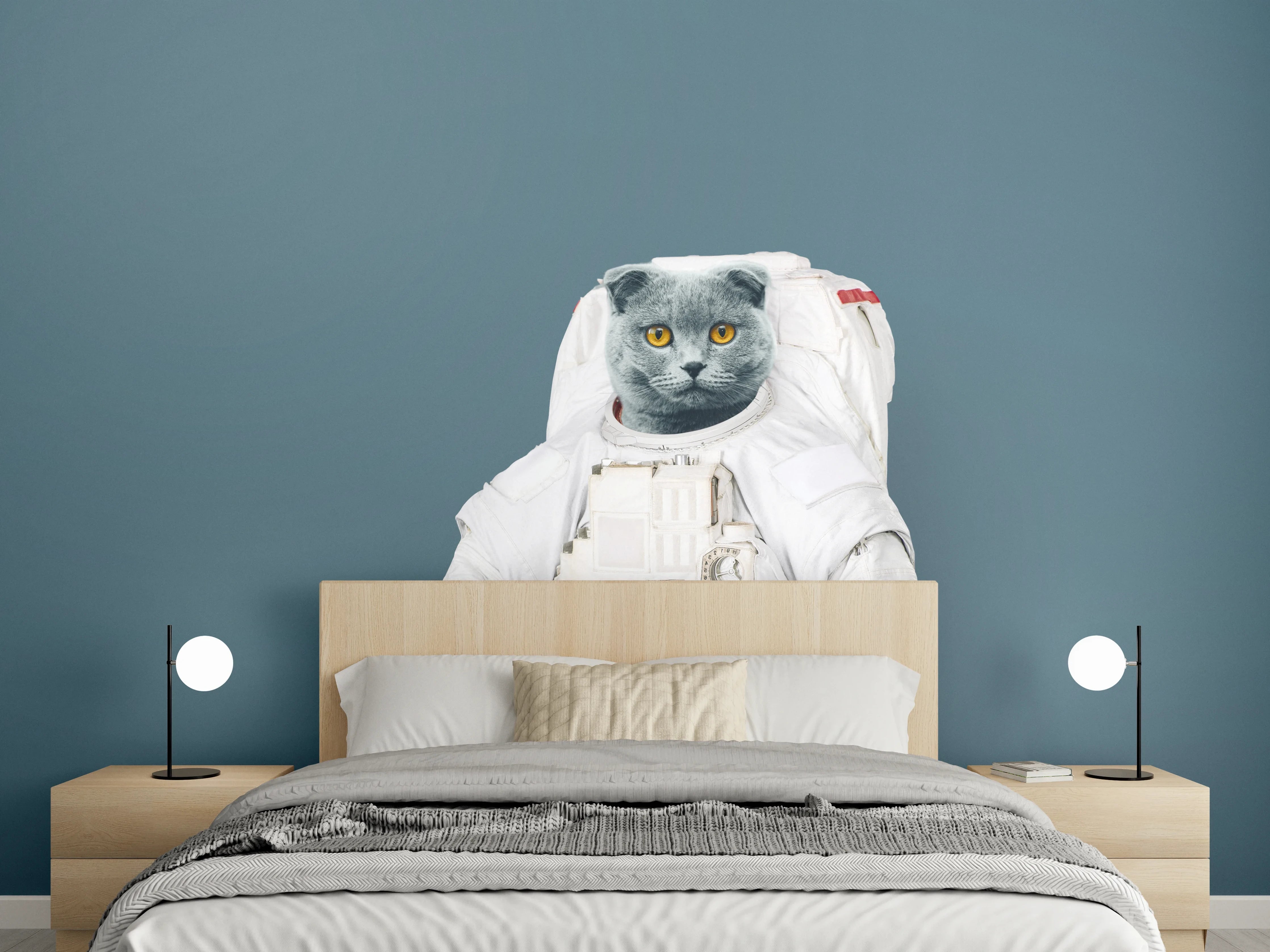 Wandverkleidung Schlafzimmer - Katzen-Astronaut Grau-Helm
