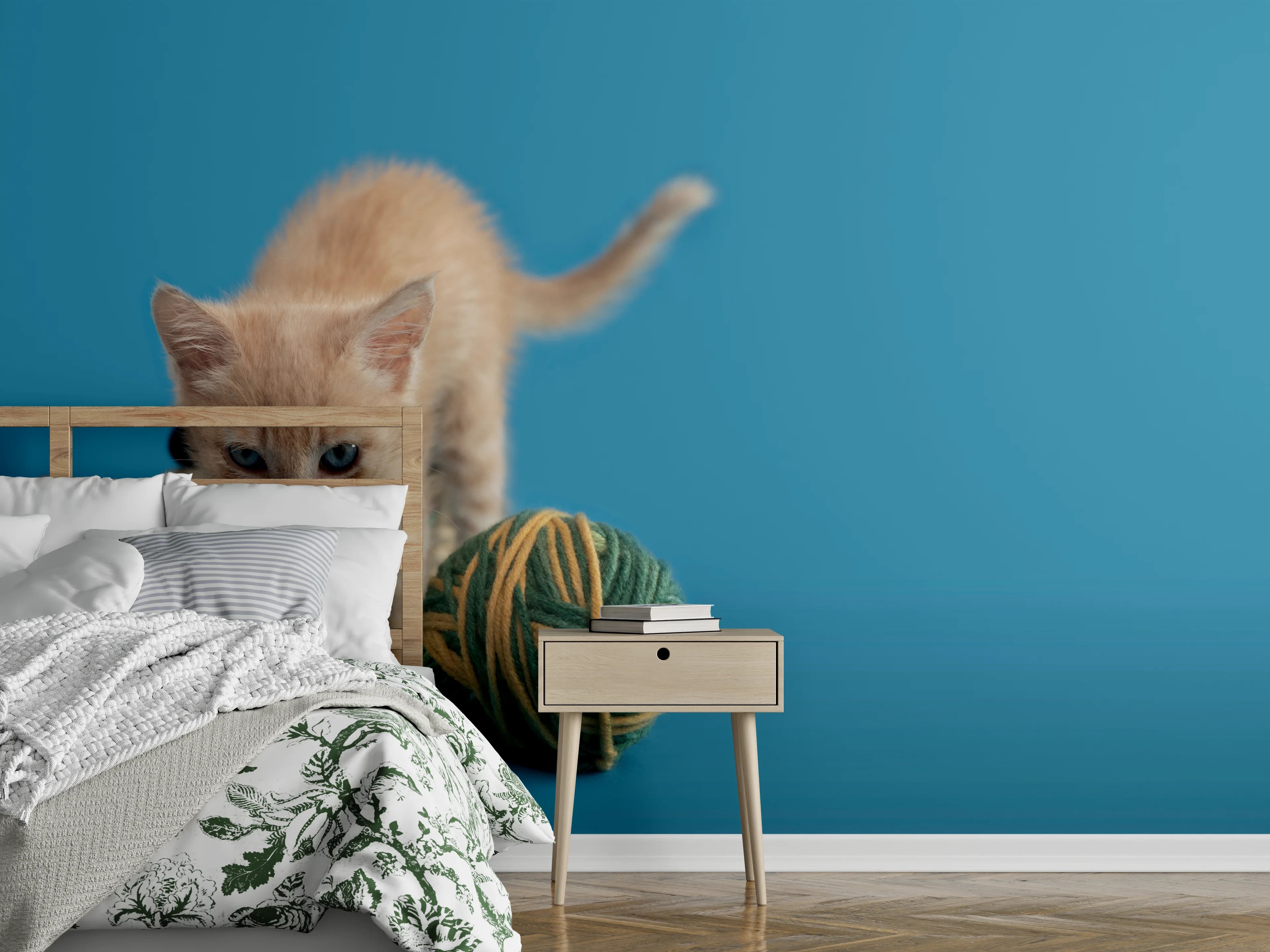 Wandverkleidung Schlafzimmer - Katzenbaby spielt mit Wollknollen