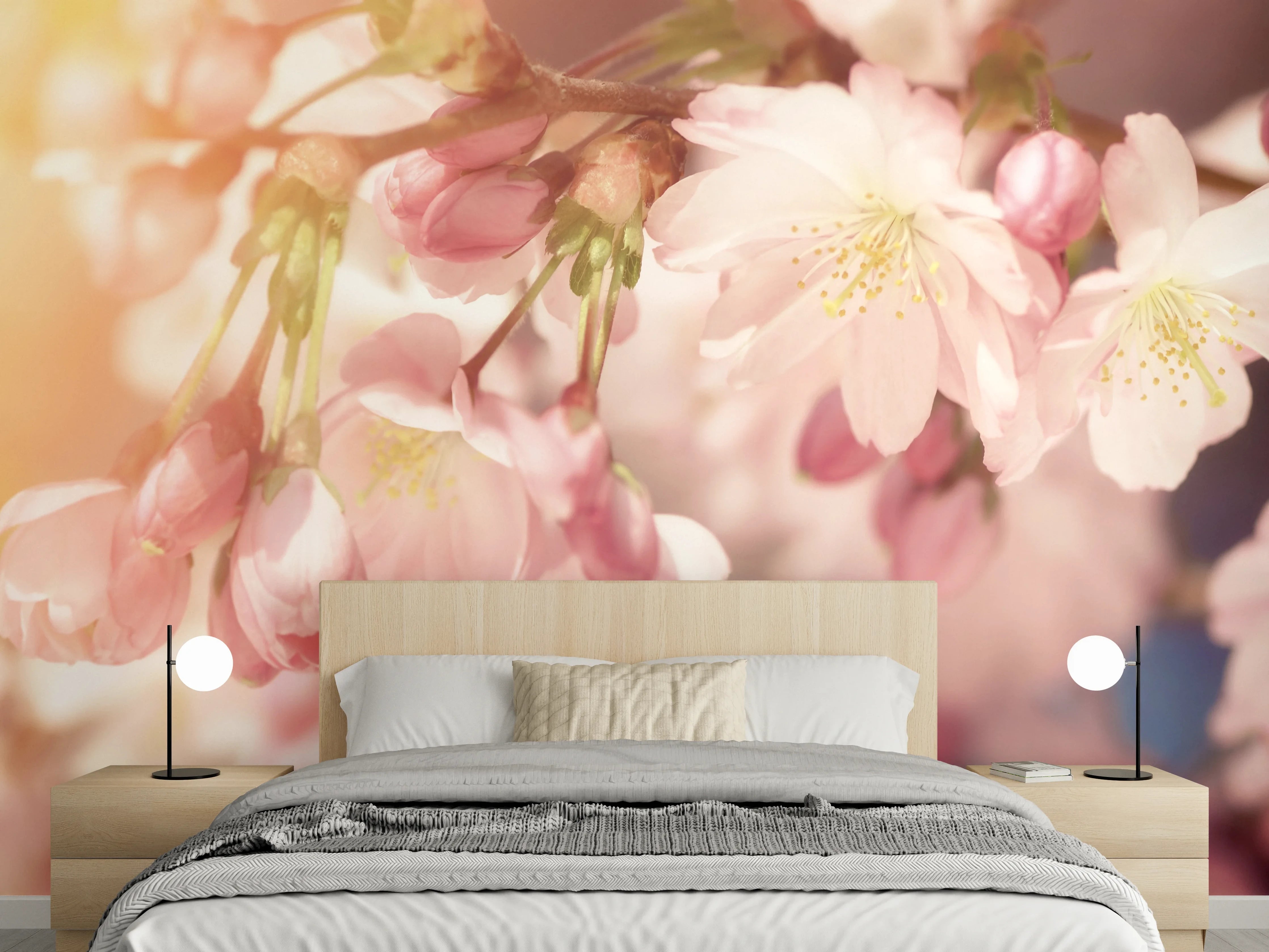 Wandverkleidung Schlafzimmer - Kirschblüten Zweig Sonnenlicht Fotokunst