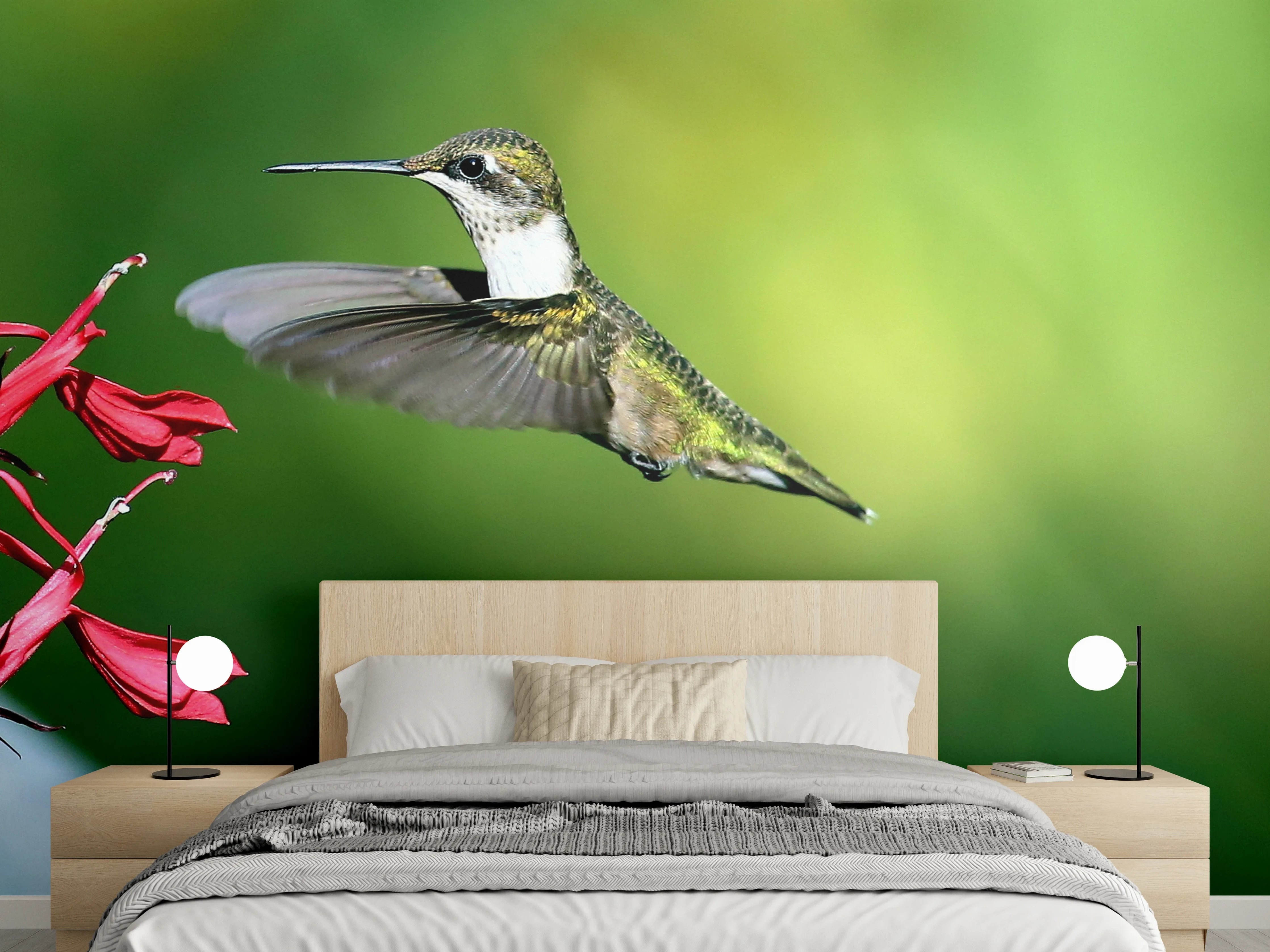 Wandverkleidung Schlafzimmer - Kolibri-Weibchen im Flug