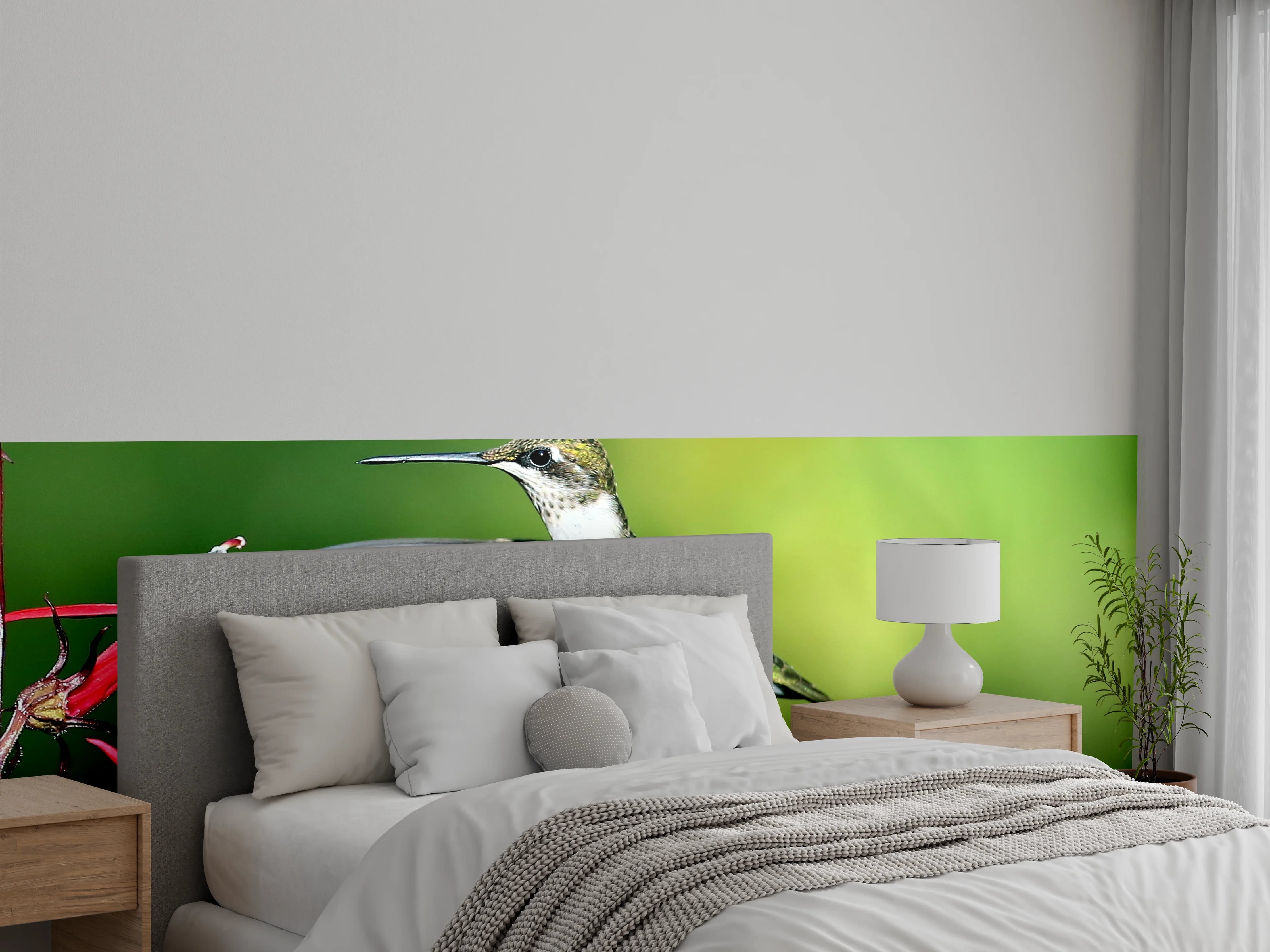 Wandverkleidung Schlafzimmer - Kolibri-Weibchen im Flug
