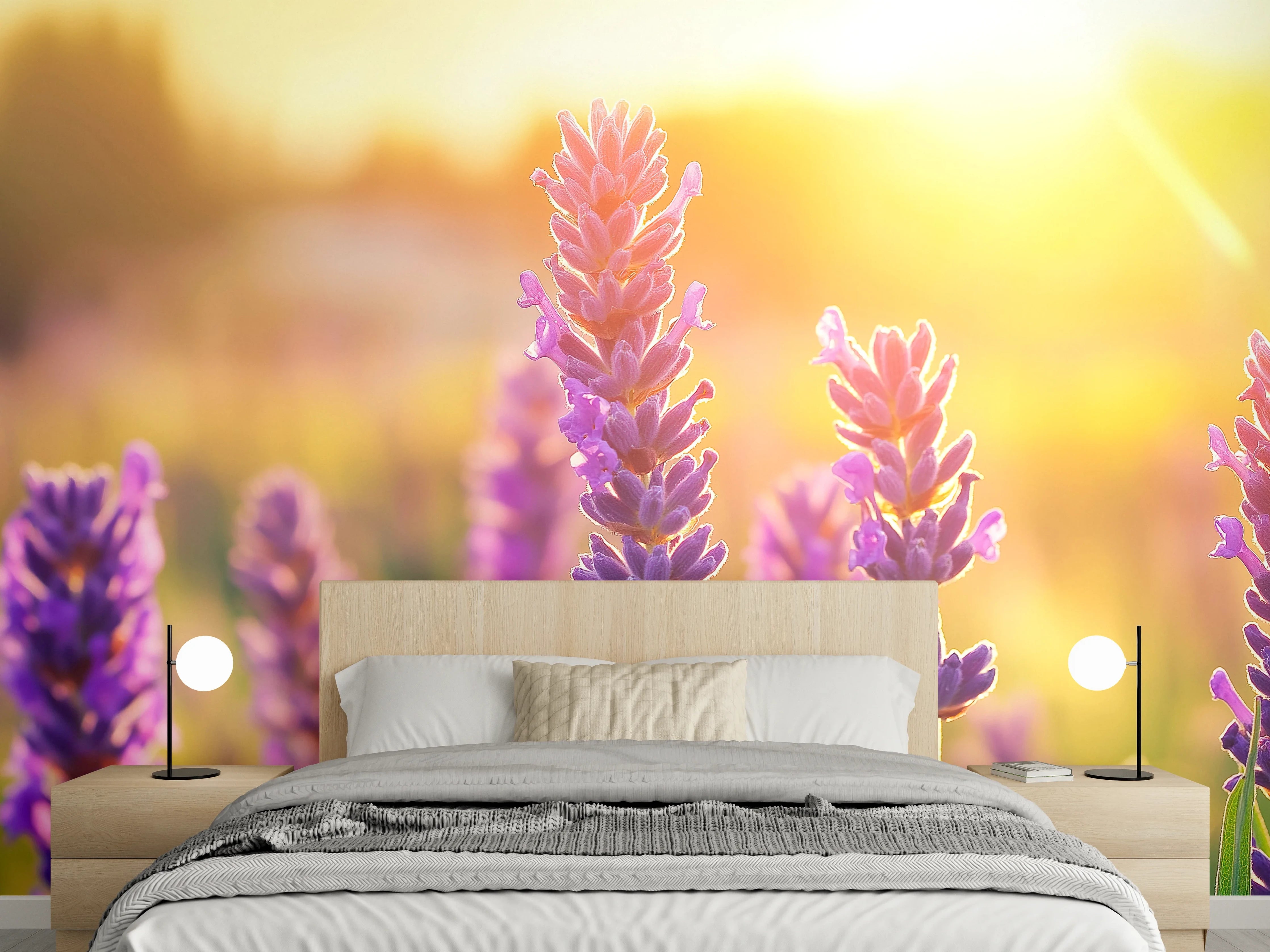 Wandverkleidung Schlafzimmer - Lavendel in goldenem Abendlicht
