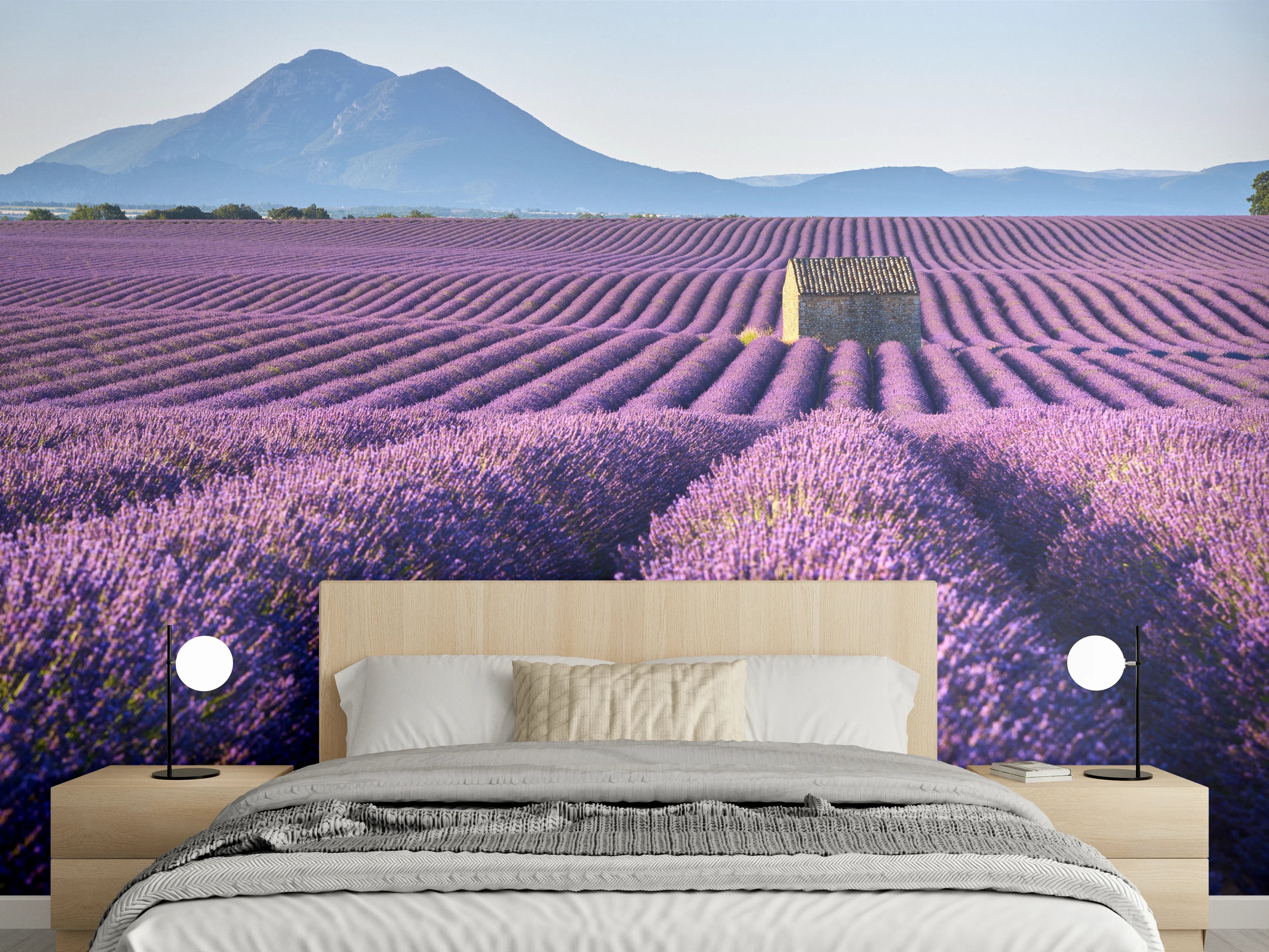 Wandverkleidung Schlafzimmer - Lavendelfeld Panorama Provence