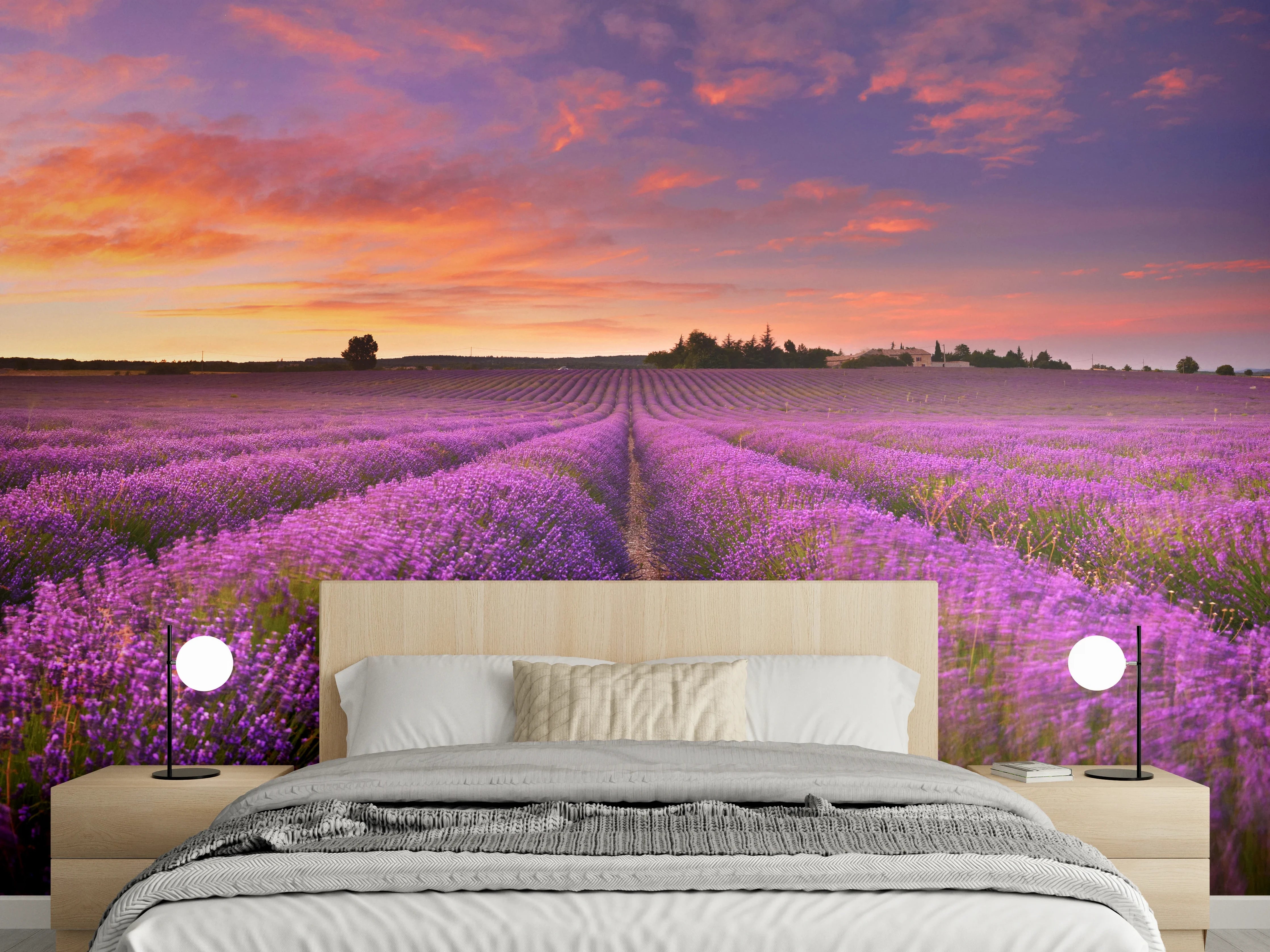 Wandverkleidung Schlafzimmer - Lavendelfeld in der Morgendämmerung