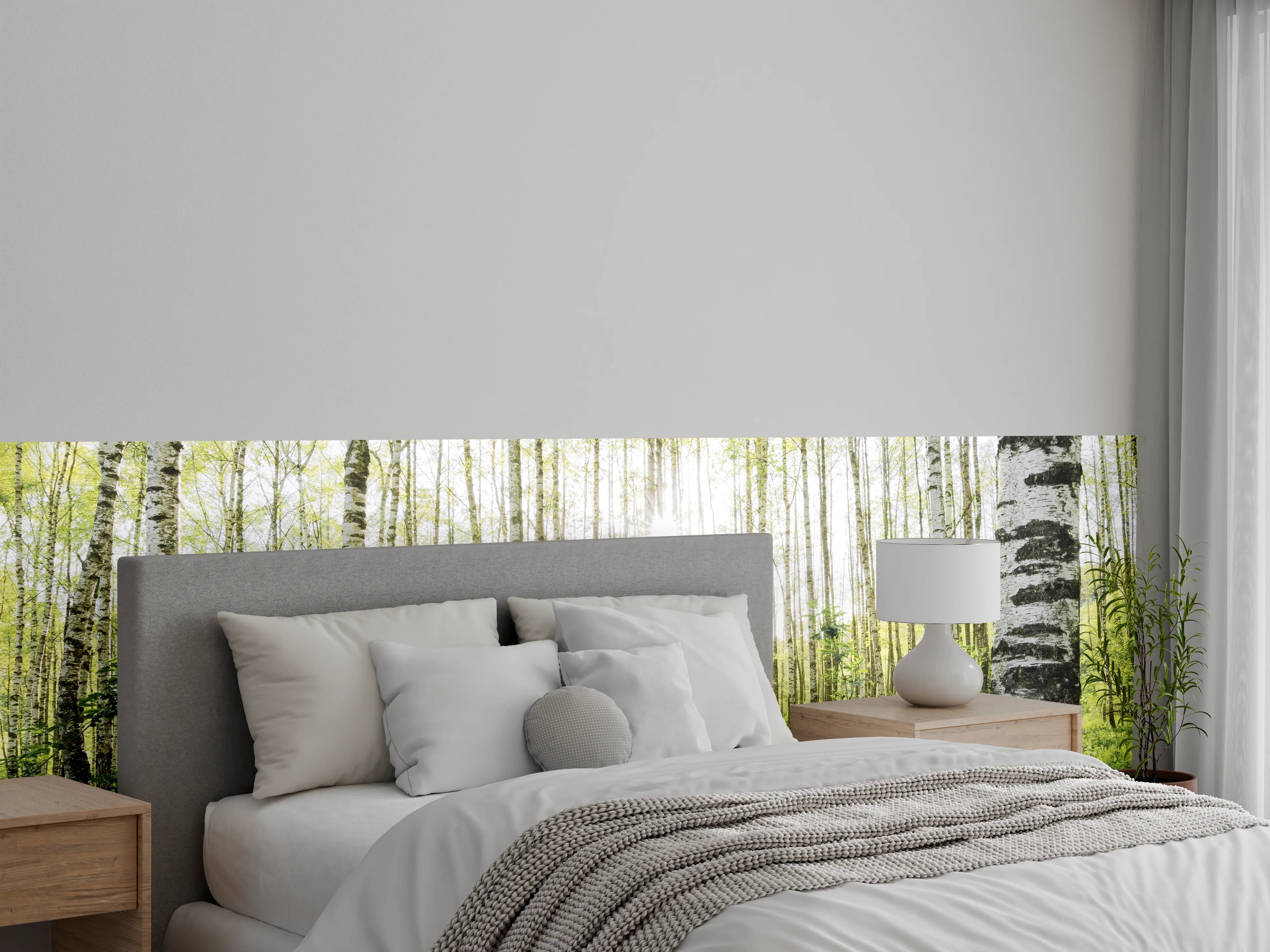 Wandverkleidung Schlafzimmer - Lichtdurchfluteter Birkenwald Fototapete