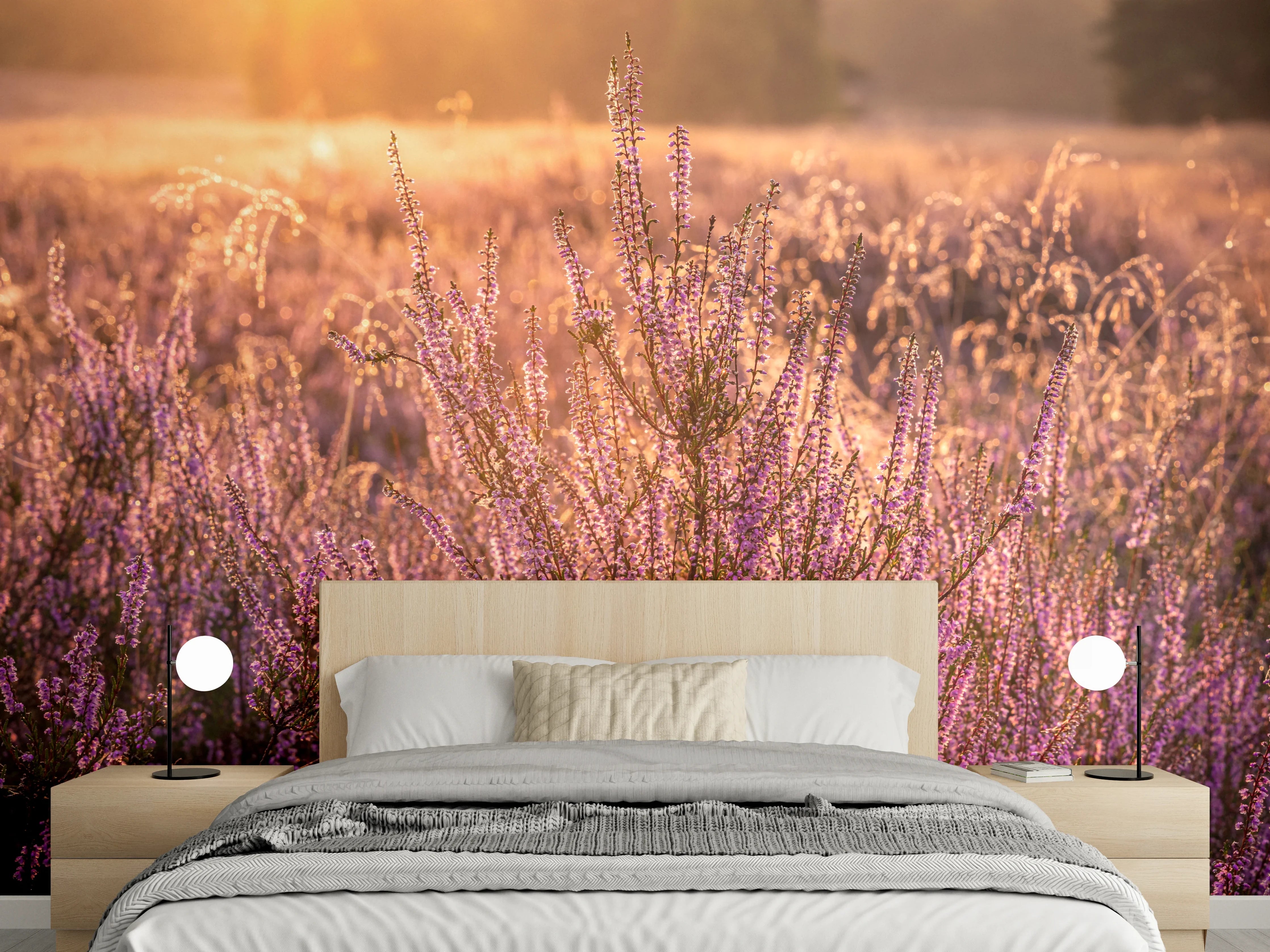 Wandverkleidung Schlafzimmer - Lila Heide im Sonnenaufgang