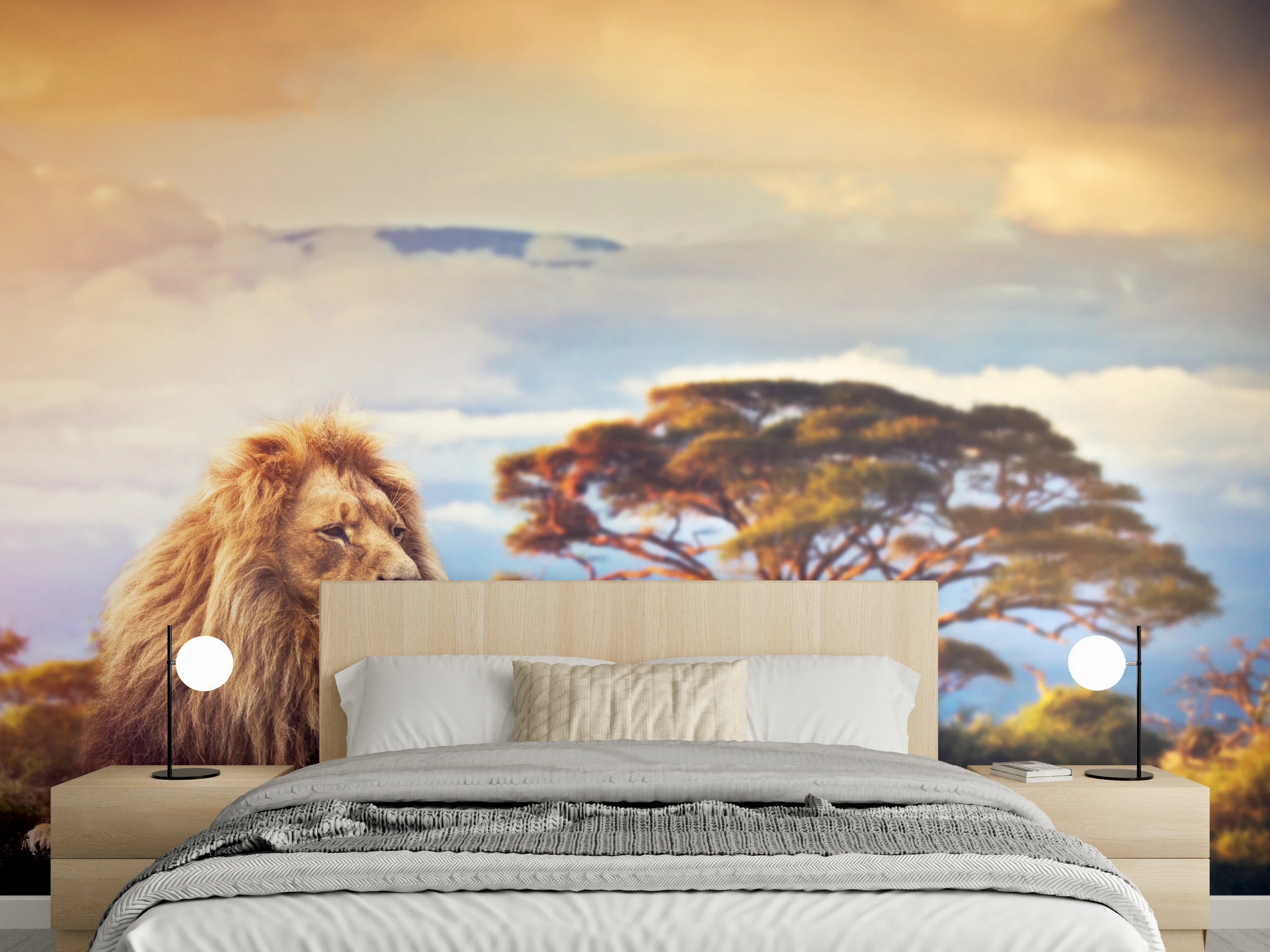 Wandverkleidung Schlafzimmer - Löwe bei Sonnenuntergang