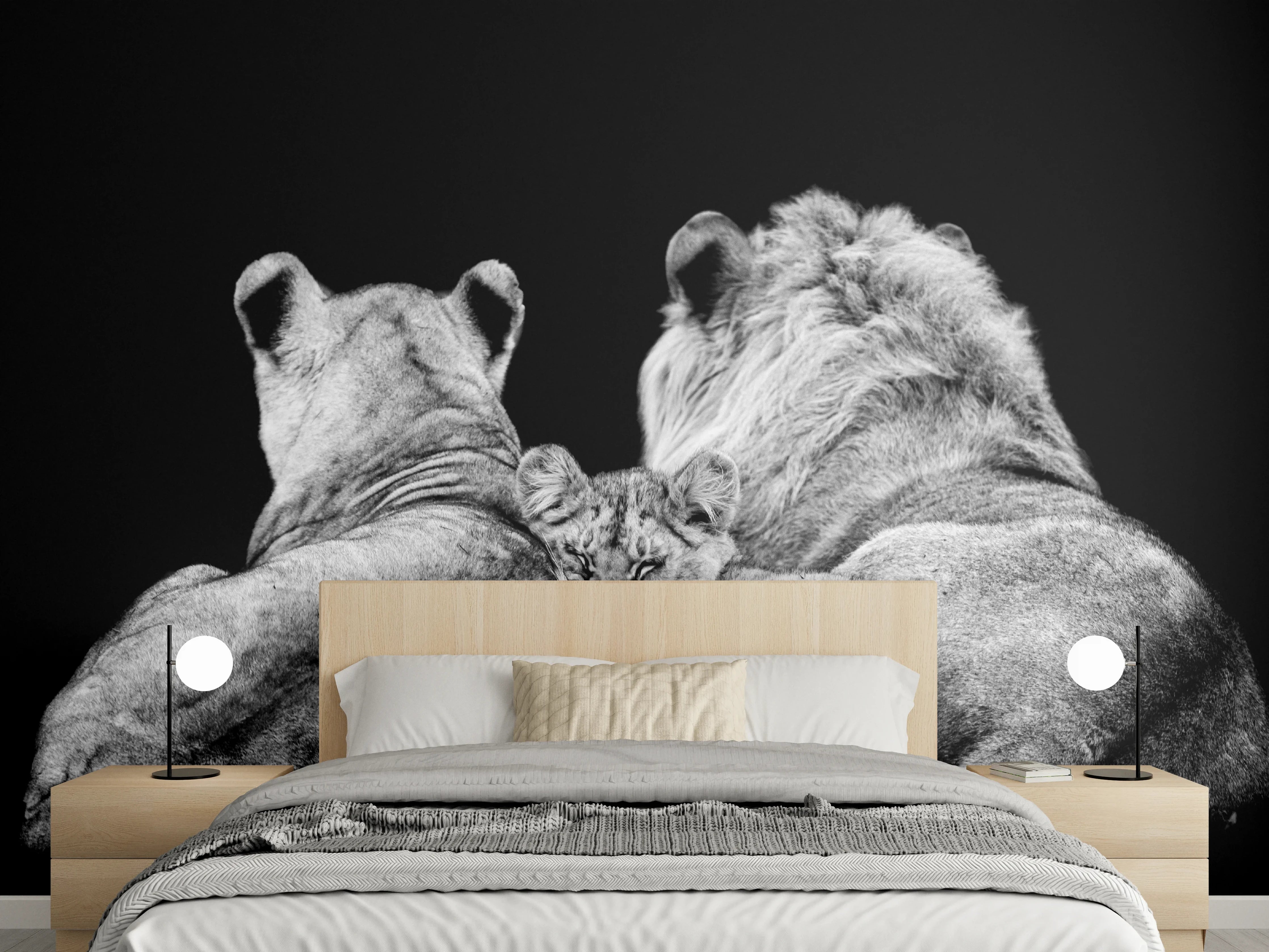 Wandverkleidung Schlafzimmer - Löwenfamilie liegend mit schwarzem Hintergrund